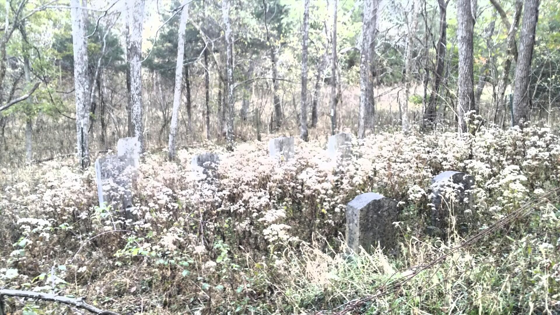 A secluded area in a forest featuring several weathered gravestones partially obscured by tall grass and wildflowers. Trees surround the site, creating a tranquil but overgrown atmosphere. Skullbuster mountain bike trail.