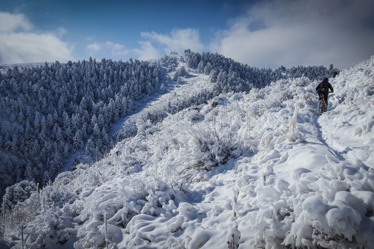A mountain biker riding along a snowy trail, surrounded by frosted trees and a winter landscape under a blue sky with scattered clouds.