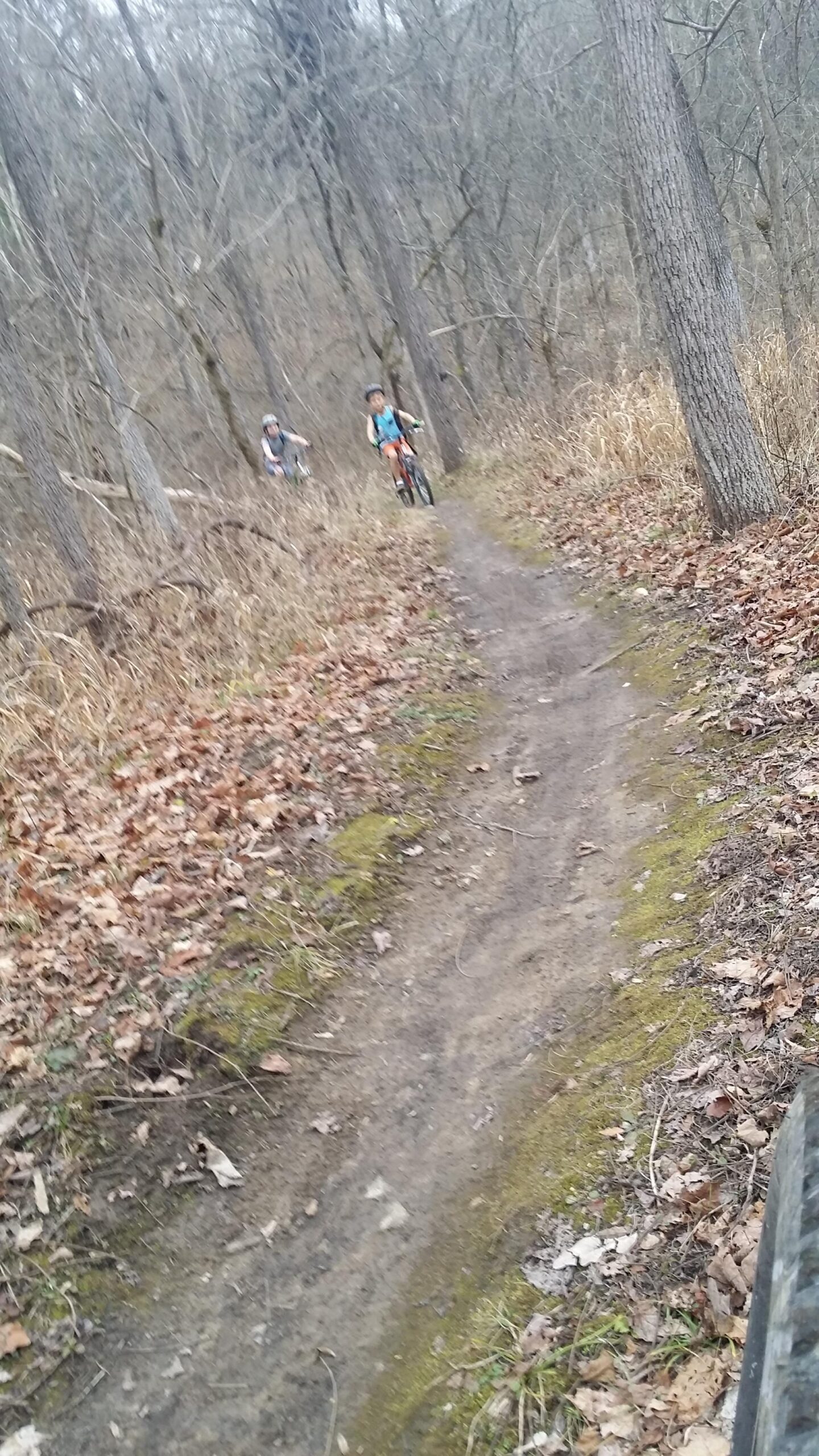 Two children biking along a dirt trail surrounded by bare trees and grassy underbrush, with fallen leaves scattered along the path. One child is in the foreground, while the other trails behind. The scene suggests an outdoor adventure in a natural setting. Versailles State Park mountain bike trail.