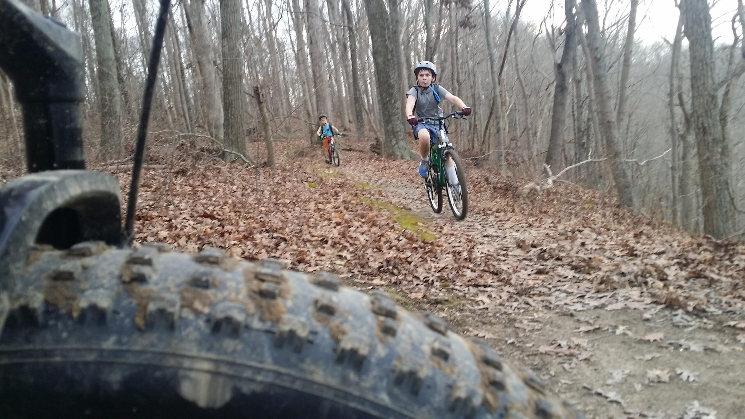 A close-up view of a mountain bike tire on a dirt trail, with two kids riding bicycles in the background. The scene is set in a wooded area with trees in the background and fallen leaves covering the ground. Versailles State Park mountain bike trail.