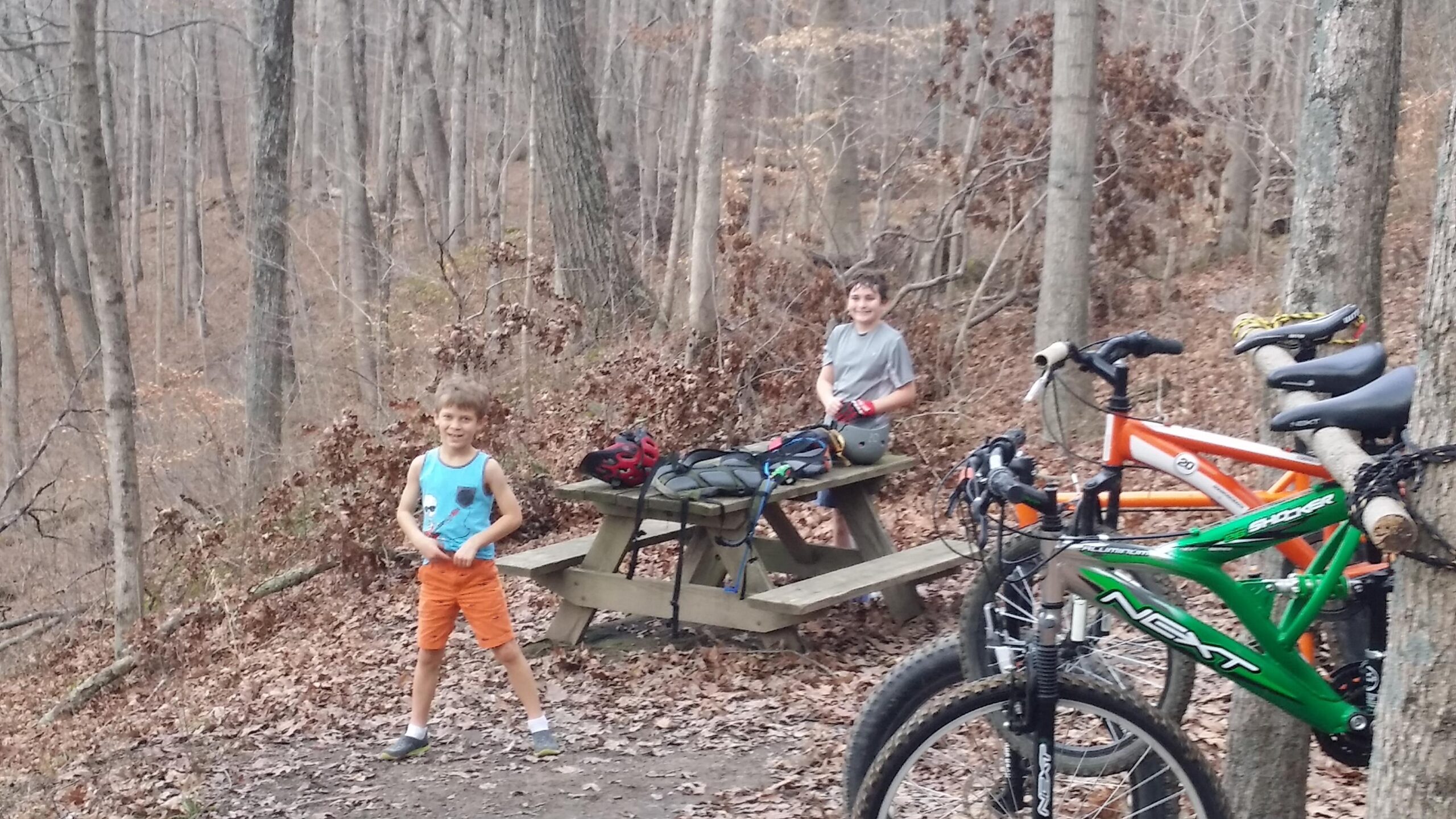 Two children are playing outdoors at a picnic table in a wooded area. One child is wearing a blue tank top with a skull graphic and orange shorts, while the other is in a gray t-shirt. Nearby, two bicycles are propped against trees, surrounded by fallen leaves and bare branches, indicating it is early spring or late fall. Versailles State Park mountain bike trail.