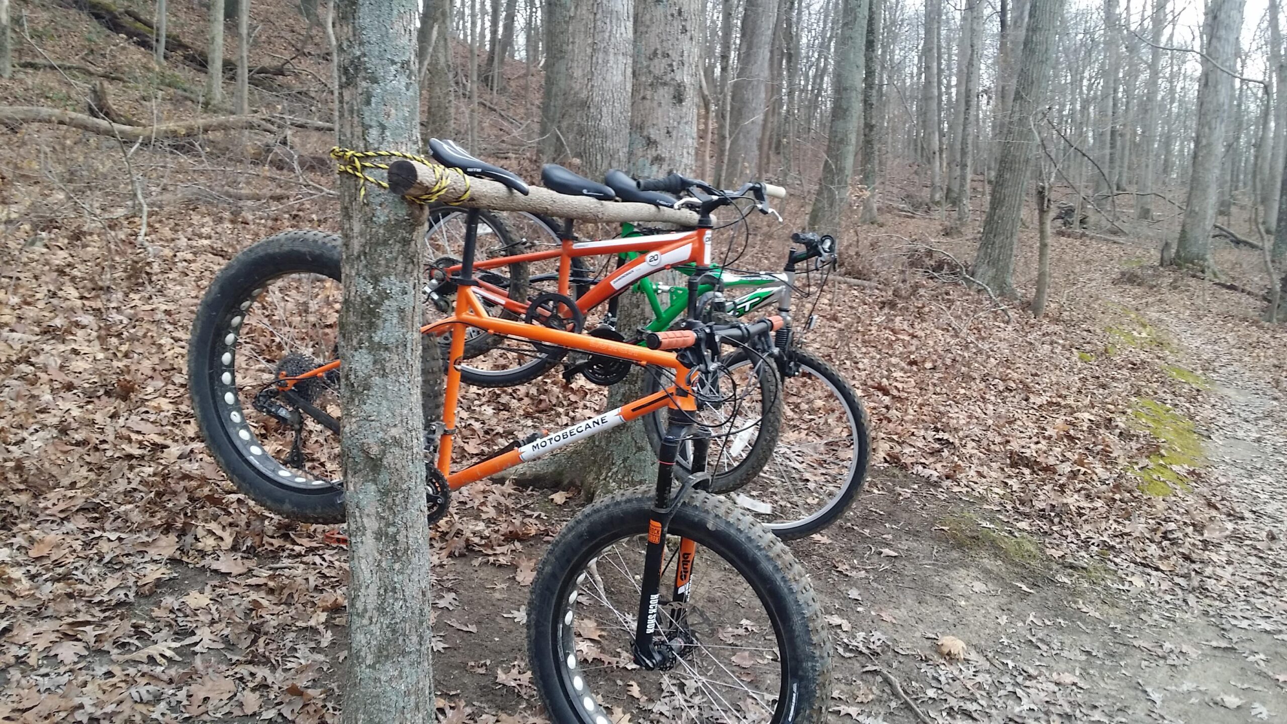 Two mountain bikes are propped against a tree in a wooded area, with fallen leaves covering the ground. One bike is orange with visible branding, while the other is green. A wooden log is resting on the tree, with a portion of it secured with yellow rope. The surroundings are sparse, showcasing a mix of trees and brush typical of a trail environment. Versailles State Park mountain bike trail.