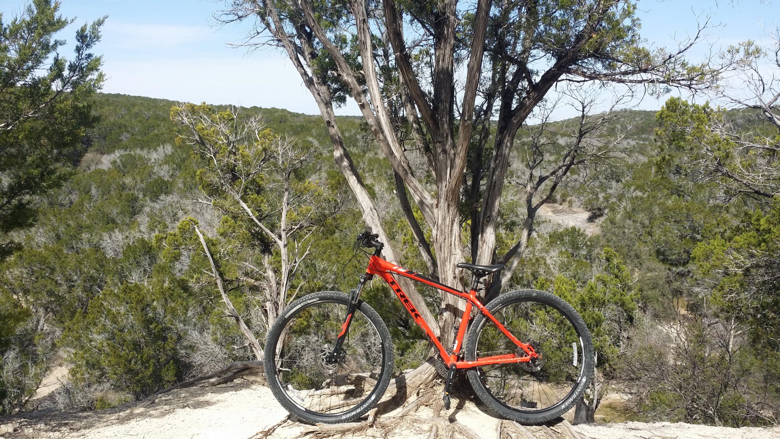 Trek X caliber 6: A bright orange mountain bike is leaning against a rugged tree trunk in a scenic outdoor setting, surrounded by a lush green landscape with rolling hills and a clear blue sky.