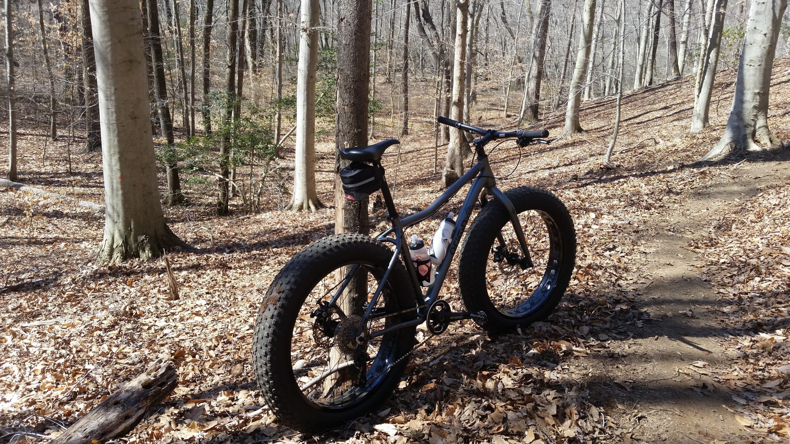Origin-8 Amarok: A fat bike parked on a dirt path in a wooded area, surrounded by trees and fallen leaves. The bike has wide tires and is equipped with a water bottle and a small saddle bag. Sunlight filters through the trees, creating a natural, outdoor setting.