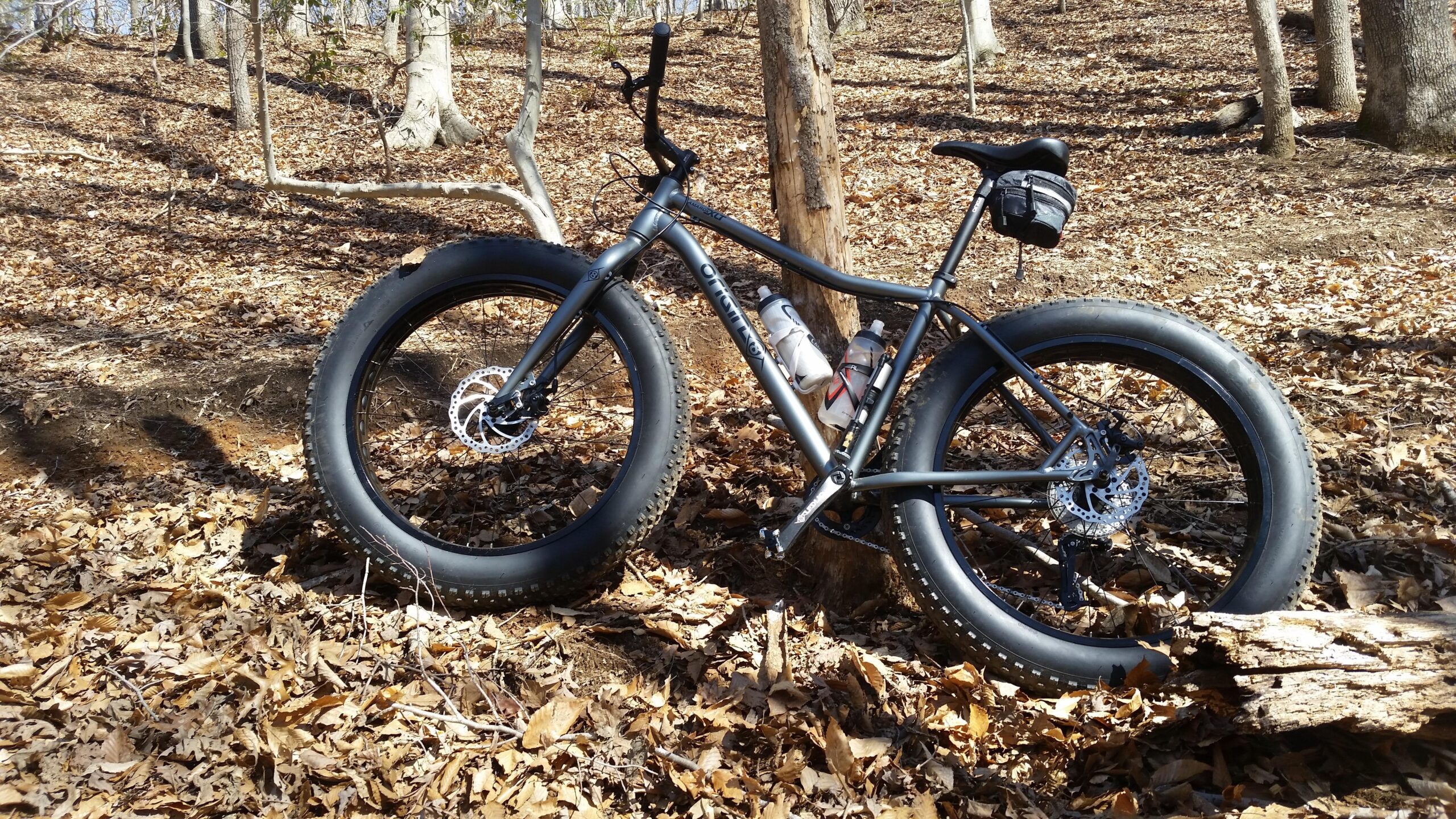 Origin-8 Amarok: A fat tire bicycle leaning against a tree in a forested area covered with fallen leaves. The bike has a matte black frame and wide tires, with two water bottles mounted on the frame. Sunlight filters through the trees, highlighting the natural surroundings.