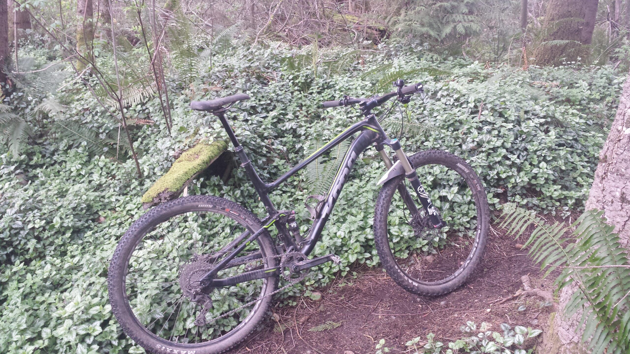 Kona Hei Hei Trail DL: A mountain bike parked against a moss-covered log in a dense forest, surrounded by green foliage and ferns on the forest floor. The bike is black with green accents and has muddy tires, indicating use on outdoor trails.