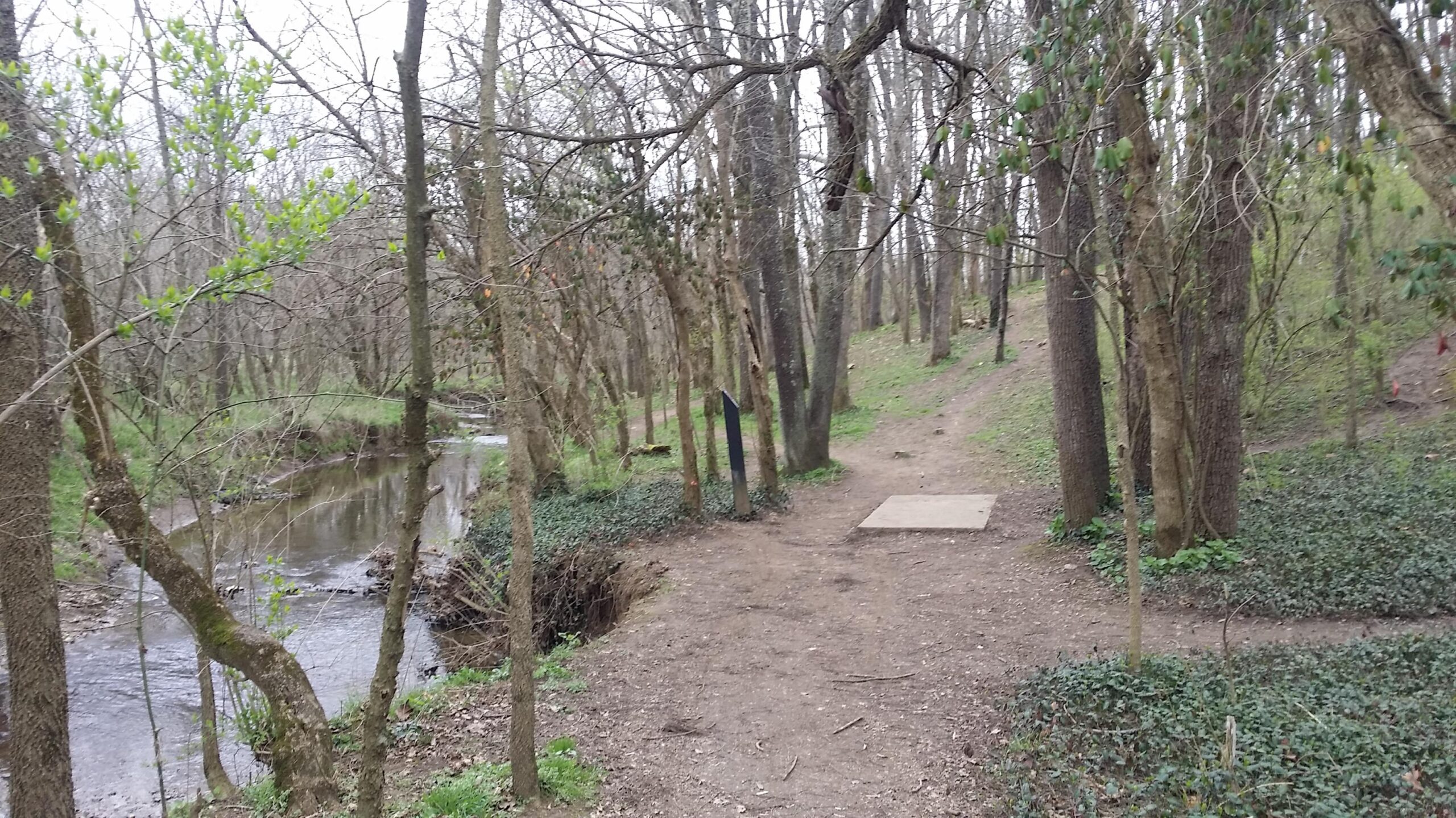 A serene wooded area featuring a meandering creek, surrounded by trees with budding leaves. A dirt path runs alongside the water, leading up a slight hill, with a flat, concrete platform visible along the trail. Lush green foliage covers the ground, creating a tranquil natural setting. Veterans Park mountain bike trail.
