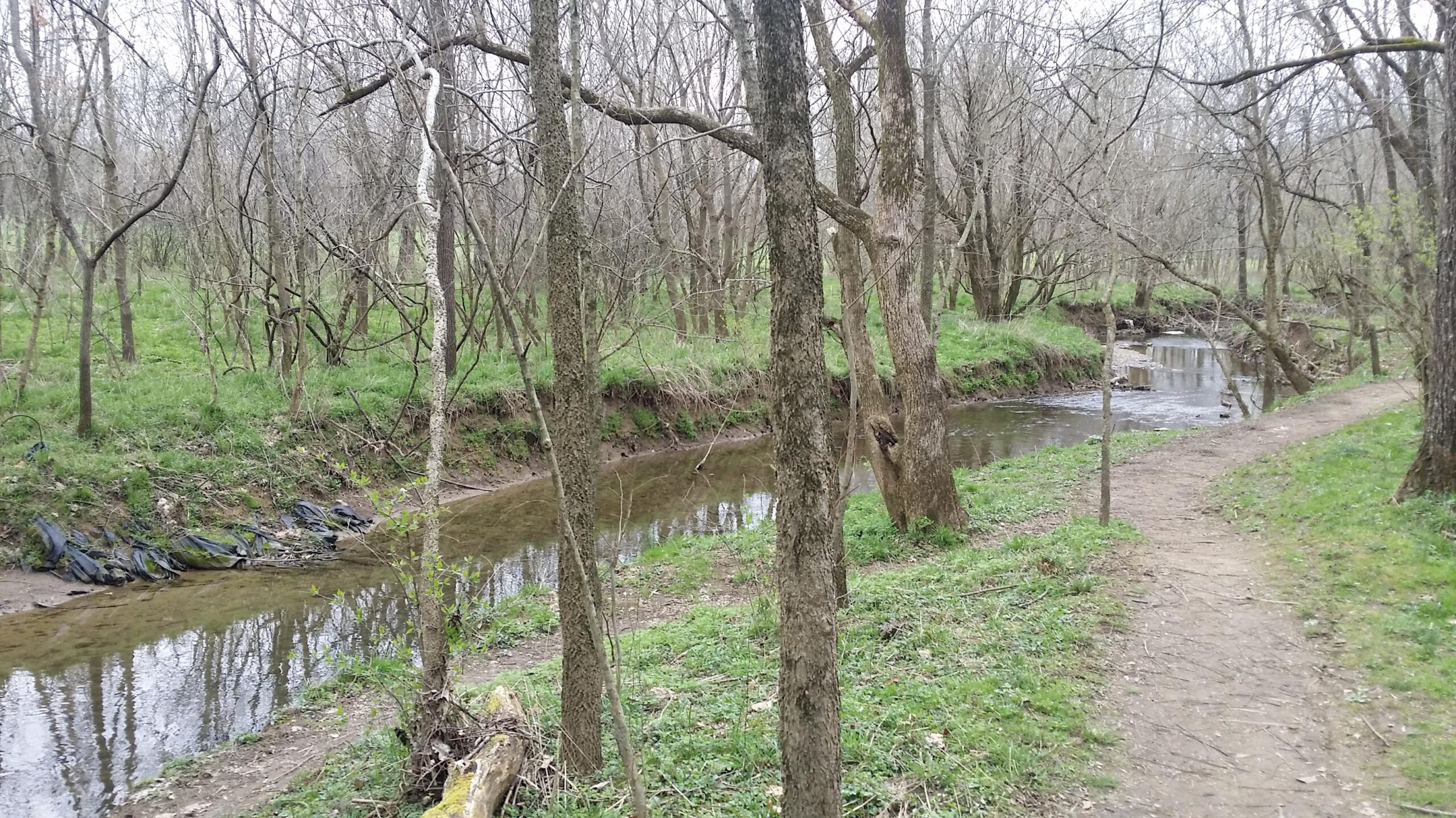 A serene natural scene featuring a winding creek surrounded by bare trees and lush green grass. A footpath runs alongside the water, inviting exploration through the tranquil environment. Veterans Park mountain bike trail.