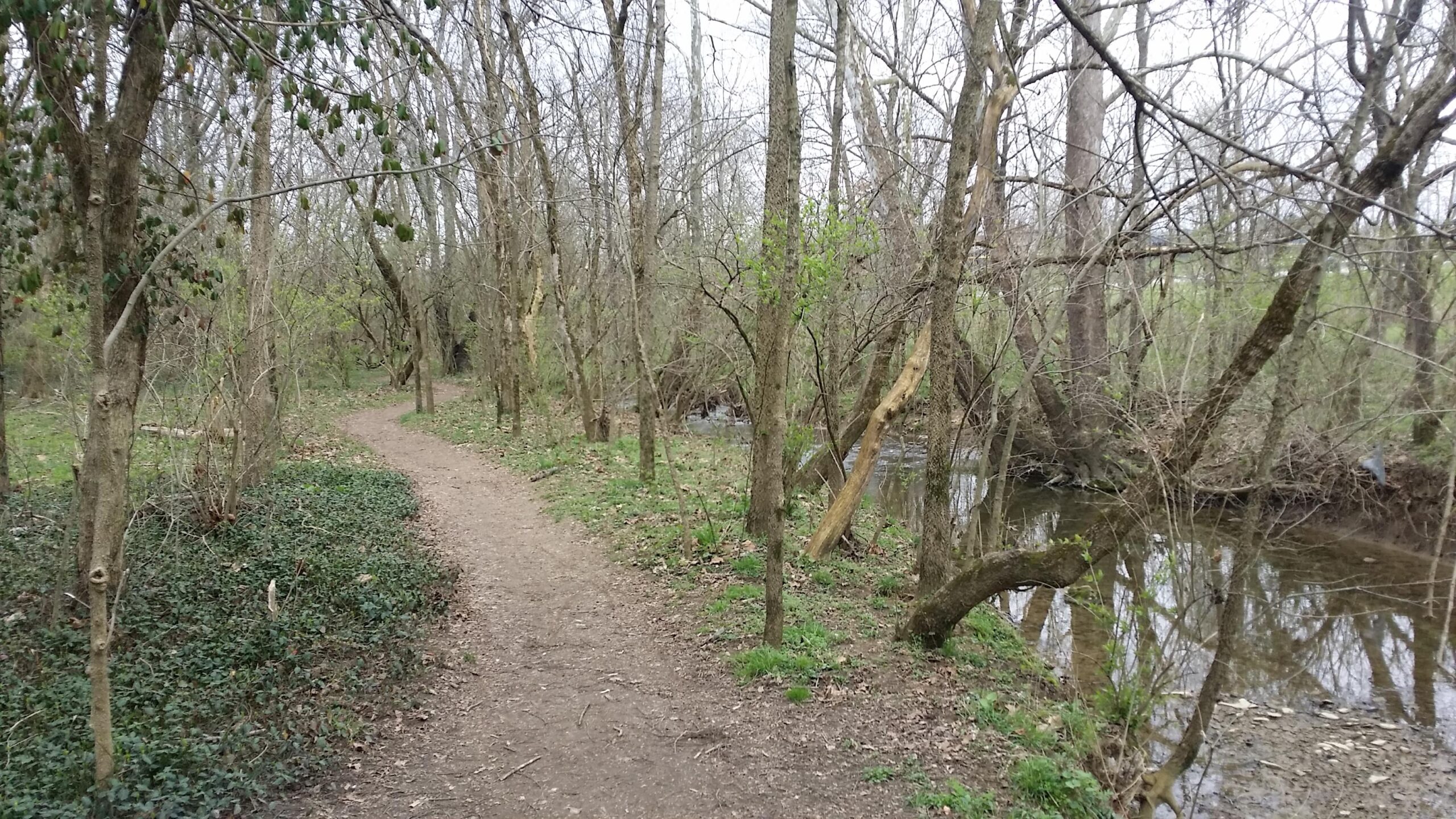 A winding dirt path surrounded by bare trees and lush greenery, with a small stream running alongside. The scene captures a tranquil natural setting, evoking a sense of peace and solitude. Veterans Park mountain bike trail.