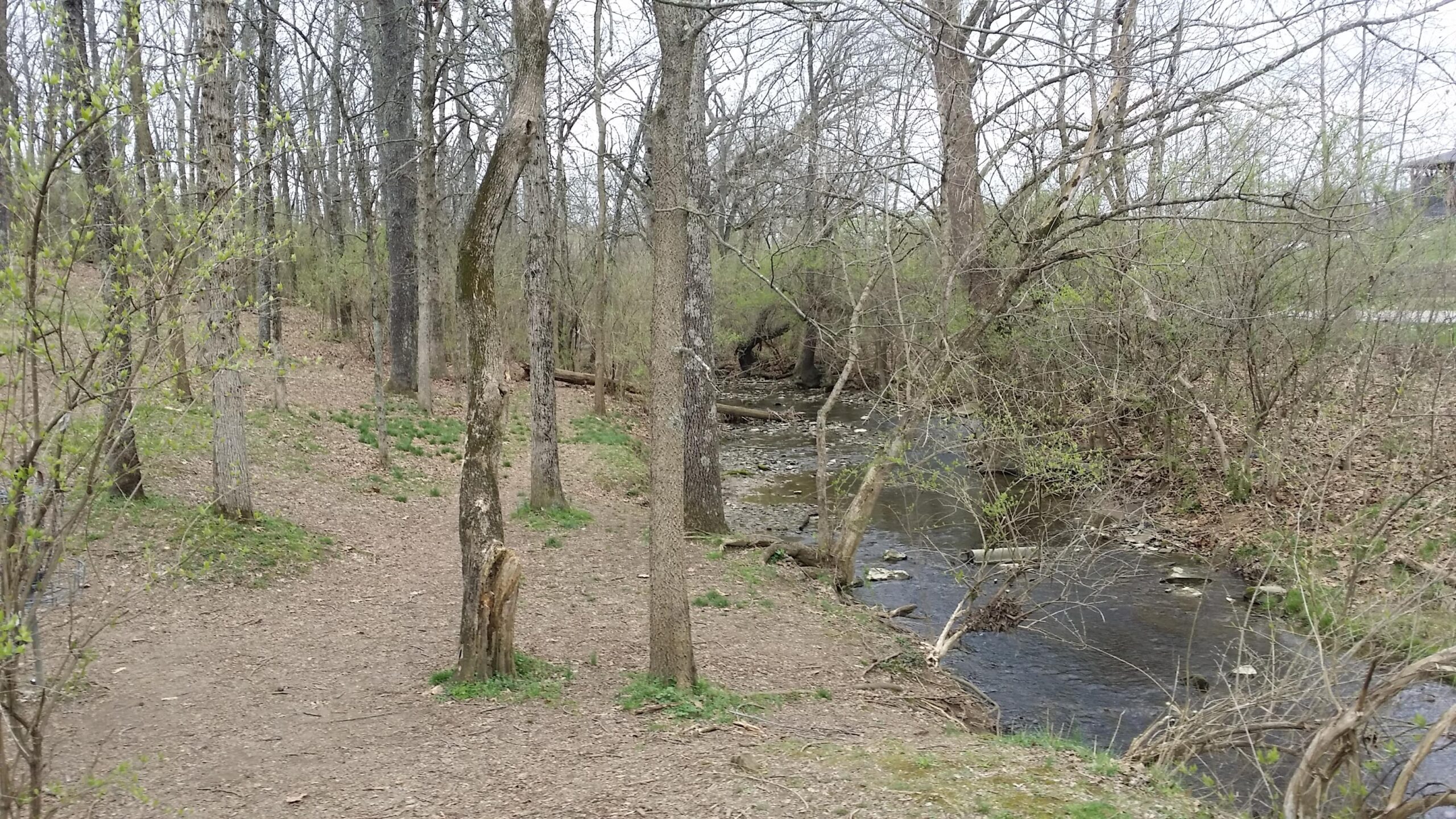 A tranquil scene of a wooded area featuring a winding creek. Leafless trees and budding greenery are visible along the banks, with a dirt path leading through the forest. Small stones and fallen branches are scattered along the water's edge, creating a peaceful natural setting. Veterans Park mountain bike trail.