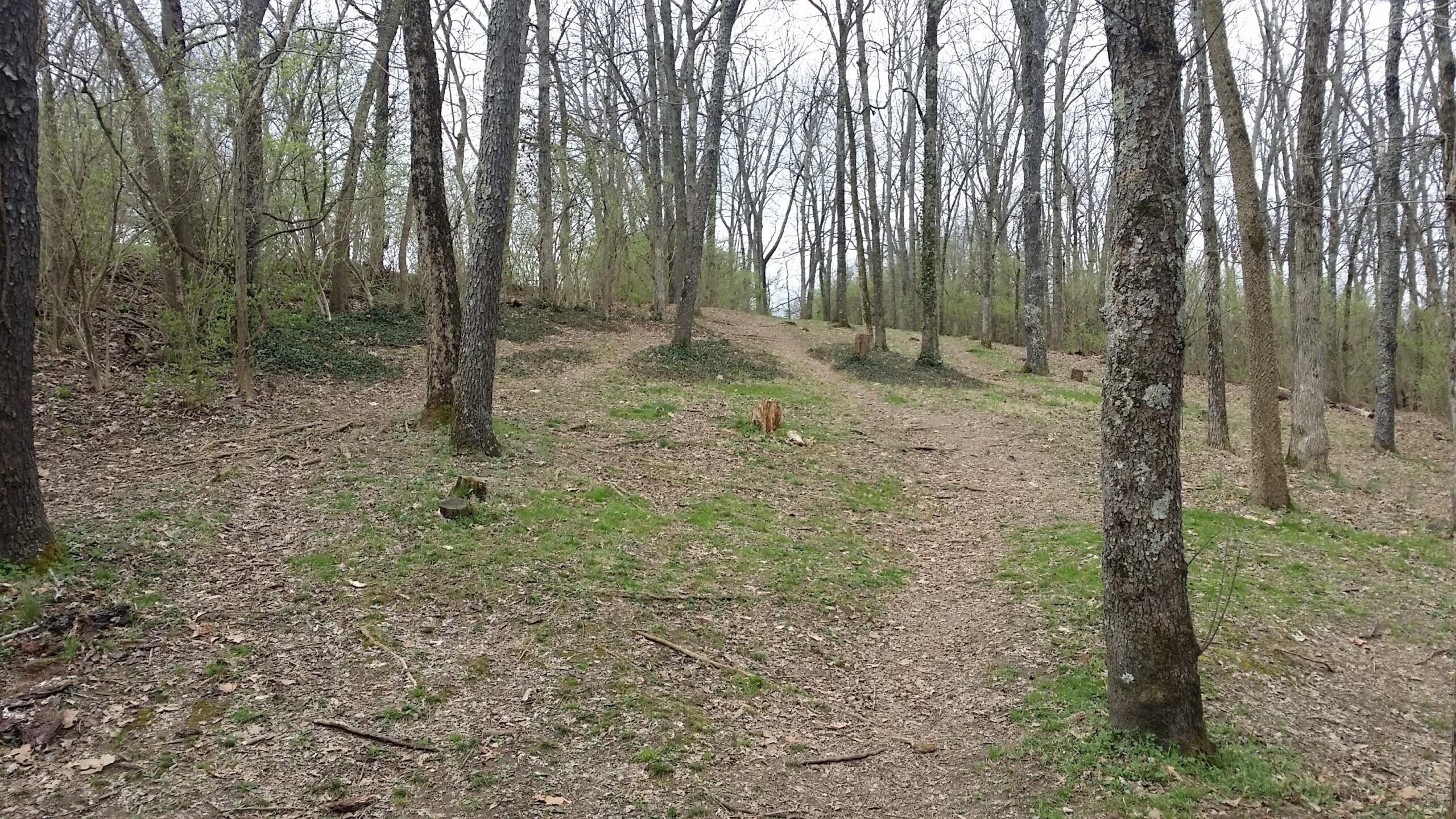 A serene wooded area featuring a dirt path winding through trees with bare branches and patches of green grass. The landscape is slightly hilly, and small tree stumps are visible along the path. The atmosphere is calm and natural, suggestive of early spring. Veterans Park mountain bike trail.