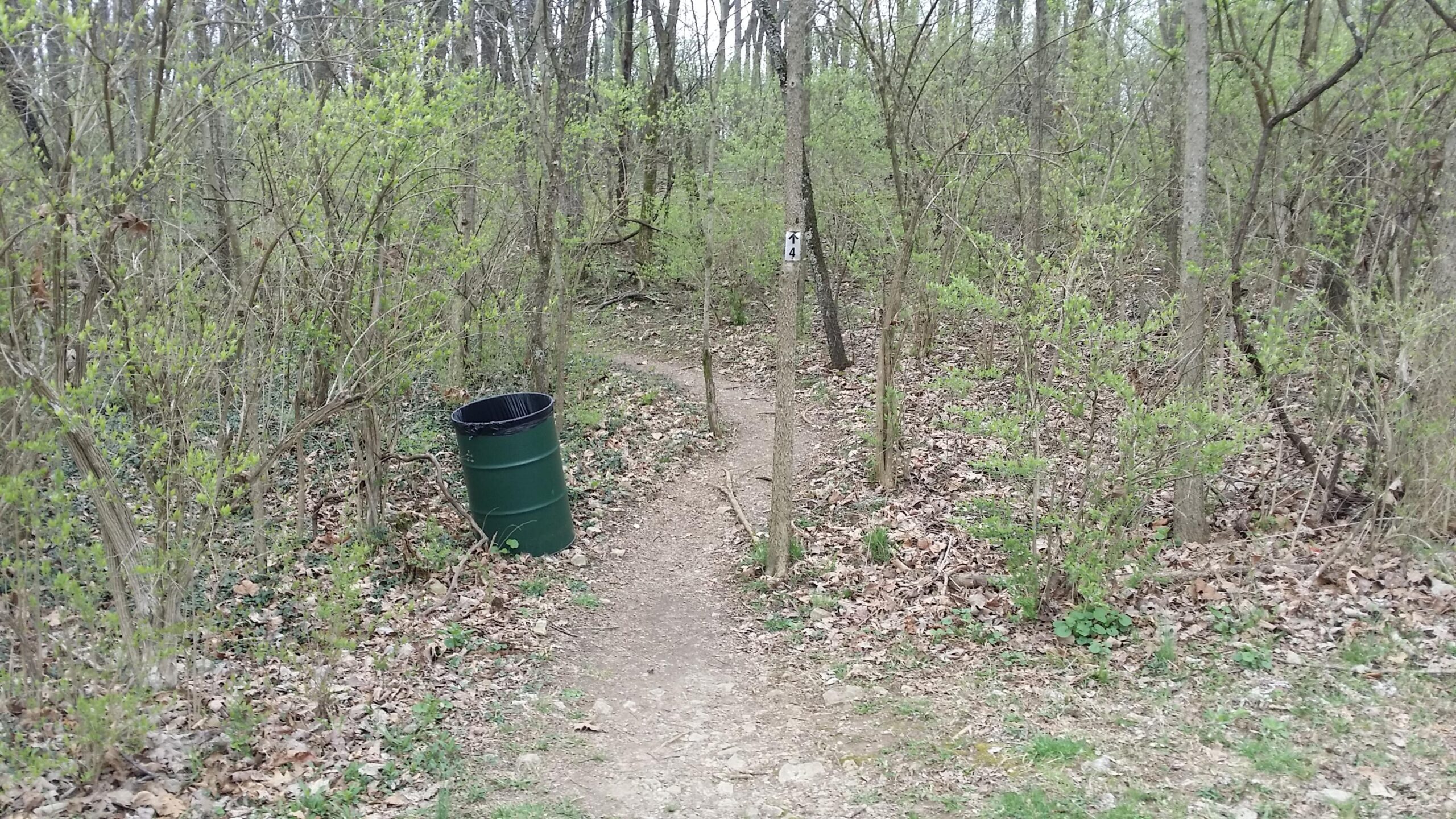 A winding dirt path through a wooded area with small green plants and trees. A green trash bin is positioned to the left of the path, beside a sign with the number "4" on a nearby tree. The ground is covered with dried leaves and the scene indicates early spring foliage. Veterans Park mountain bike trail.