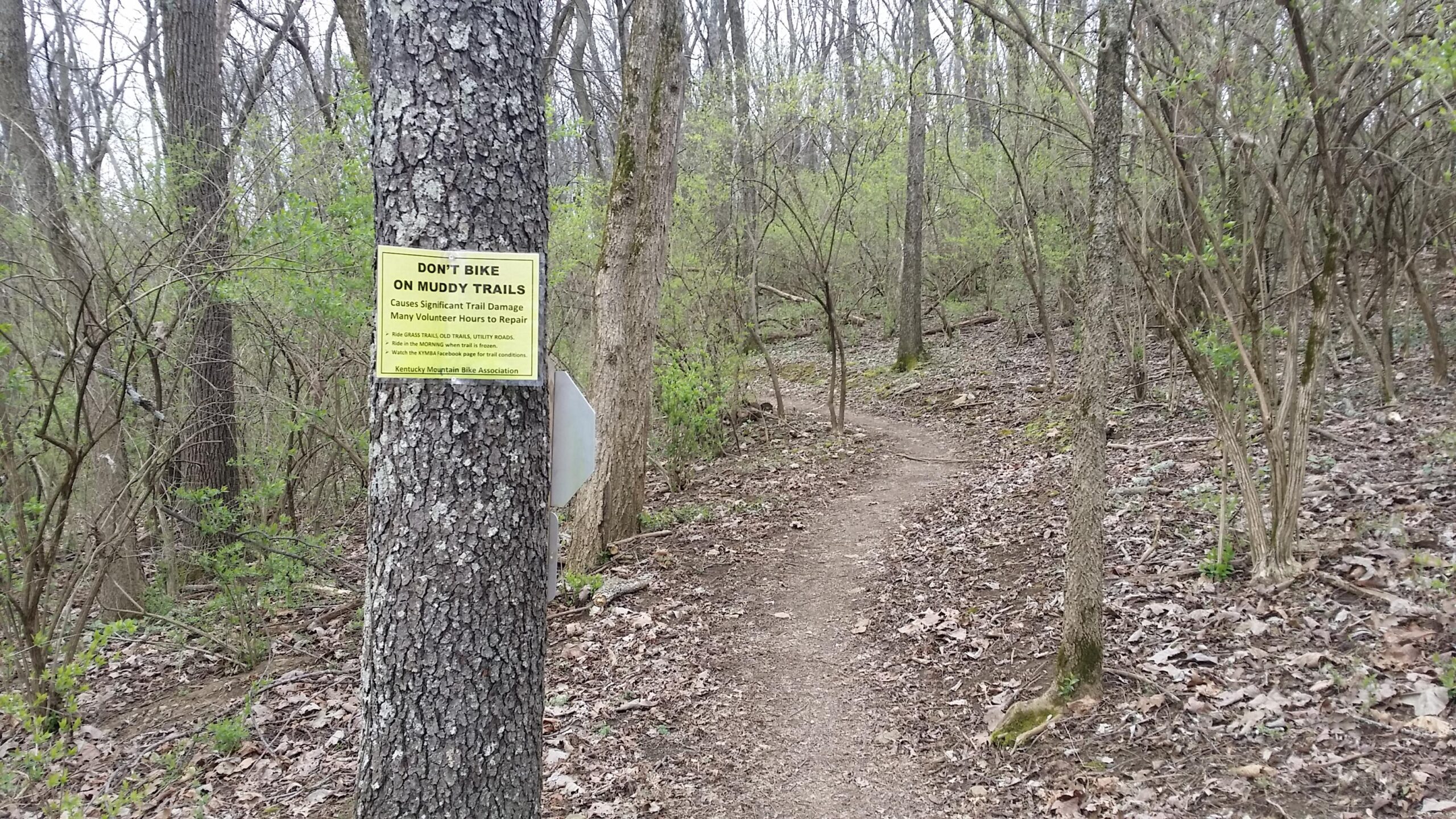 A forested area with a narrow, winding dirt trail. A sign on a tree warns, "Don't bike on muddy trails," indicating potential trail damage and encouraging responsible trail usage. Leafless trees and budding greenery surround the path, typical of early spring. Veterans Park mountain bike trail.