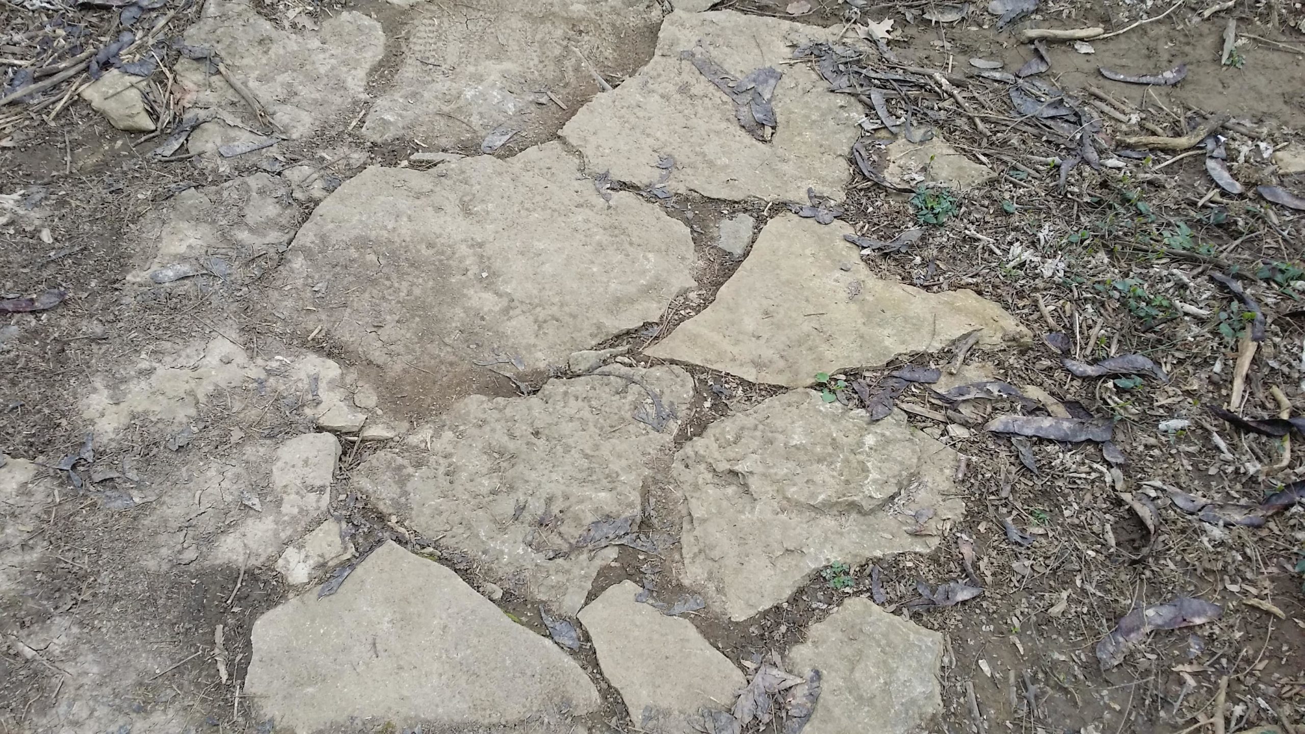 A close-up view of a rocky path made of irregular-shaped stones, surrounded by dirt and scattered dried leaves. The ground shows patches of greenery, suggesting a natural outdoor environment. Veterans Park mountain bike trail.