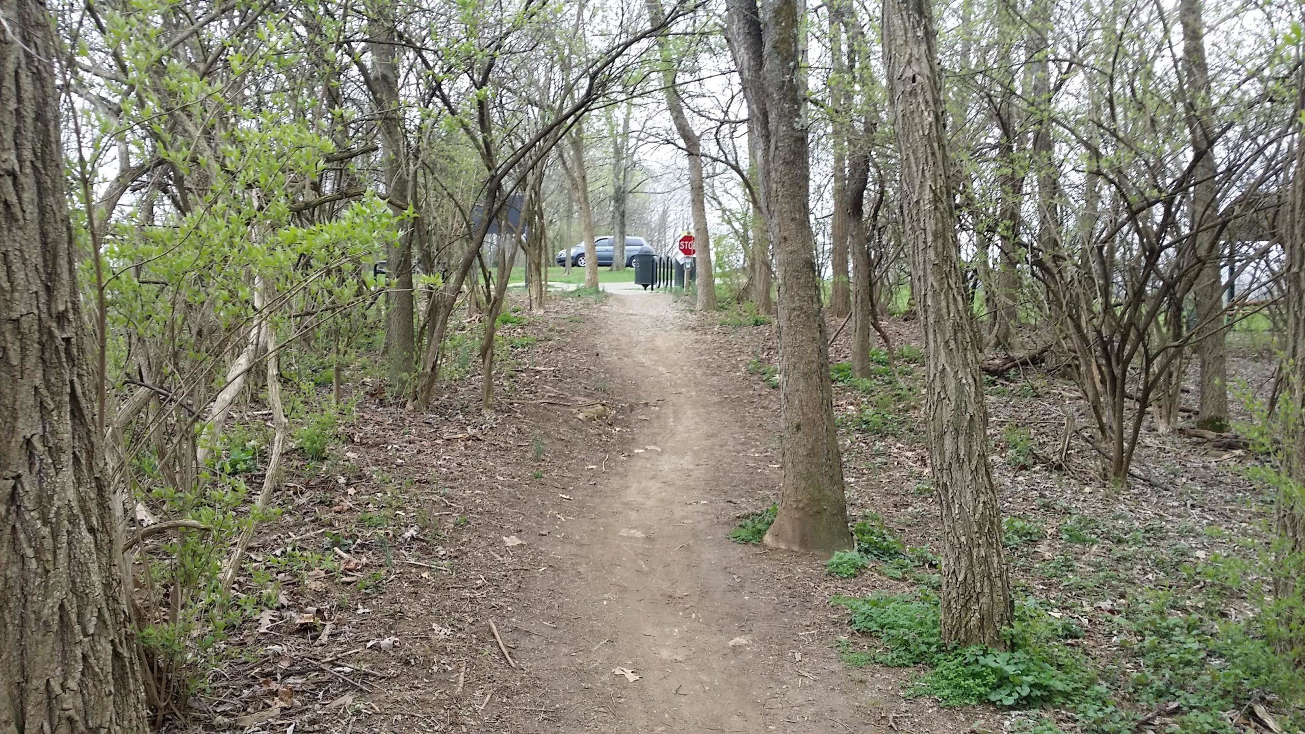 A dirt path winding through a wooded area, surrounded by trees and greenery. In the background, a parking area with a stop sign and a garbage bin is visible. The scene is set on a cloudy day, creating a serene and natural environment. Veterans Park mountain bike trail.