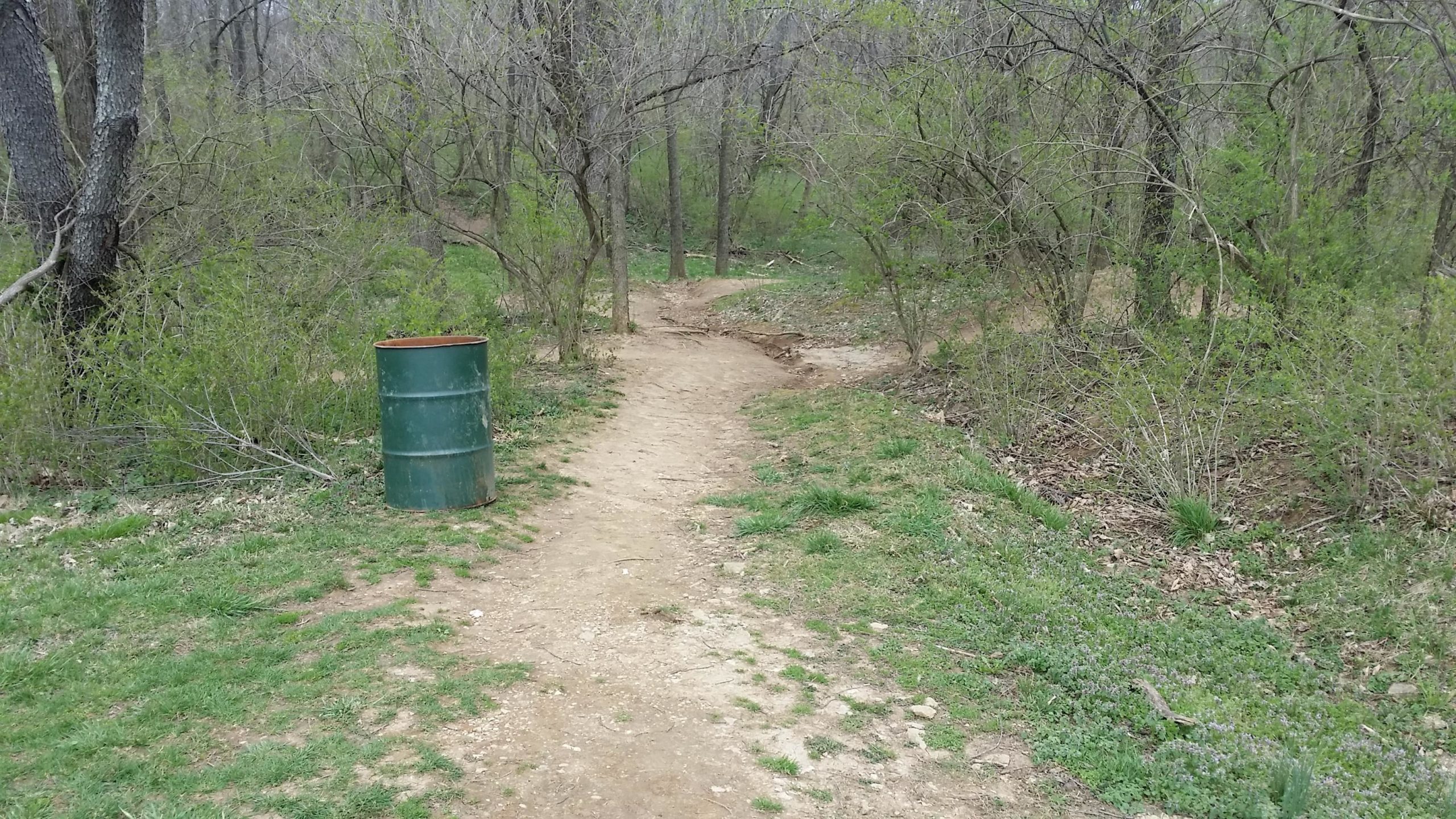 A narrow dirt path winding through a wooded area, with a green metal trash barrel on the left side. The surrounding landscape features sparse trees and bushes, with fresh green grass and small flowers visible along the path. The scene is set in a natural environment, suggesting a tranquil outdoor area. Veterans Park mountain bike trail.