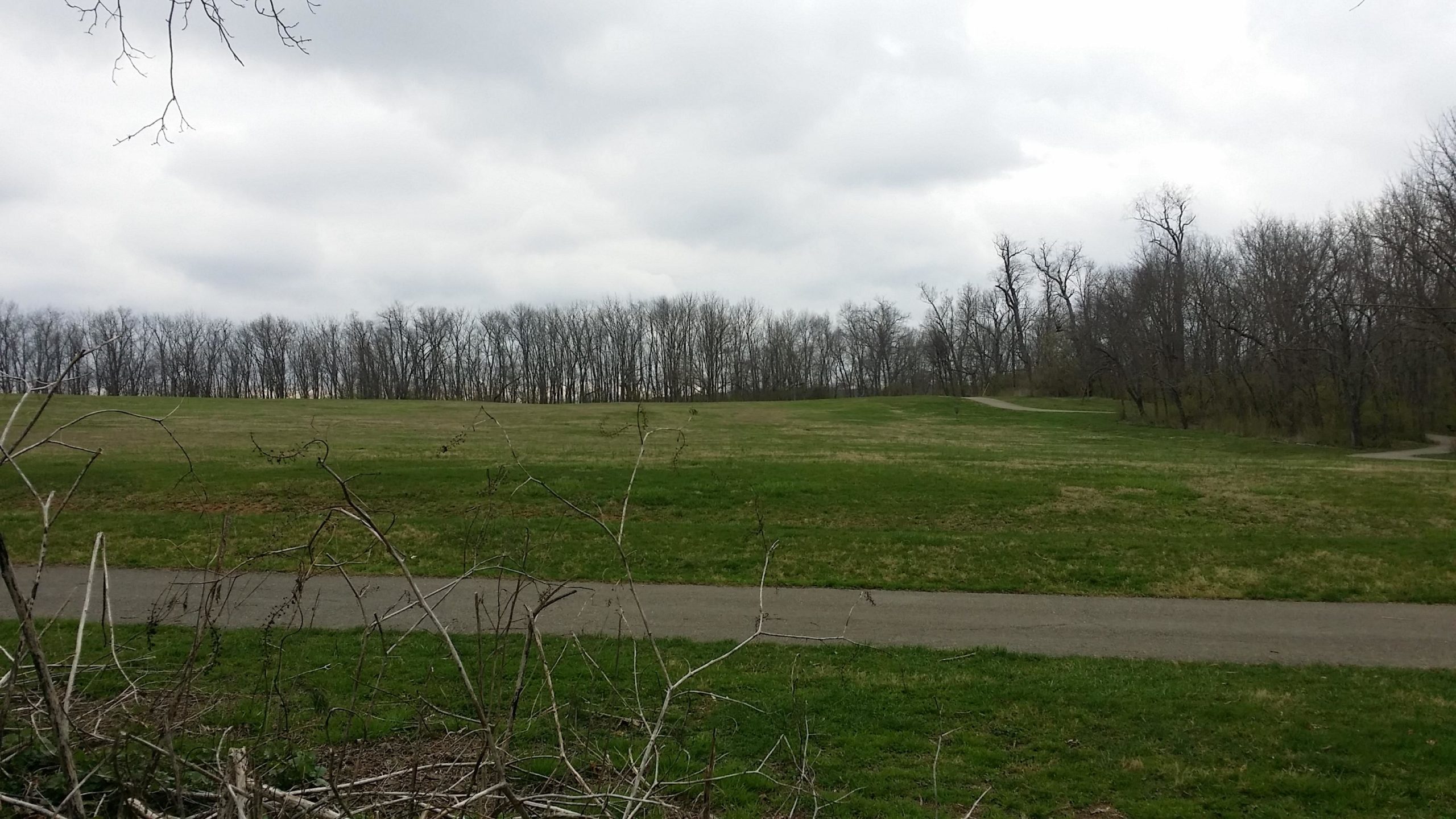 A wide open grassy area with a path running through it, surrounded by bare trees under a cloudy sky. Veterans Park mountain bike trail.