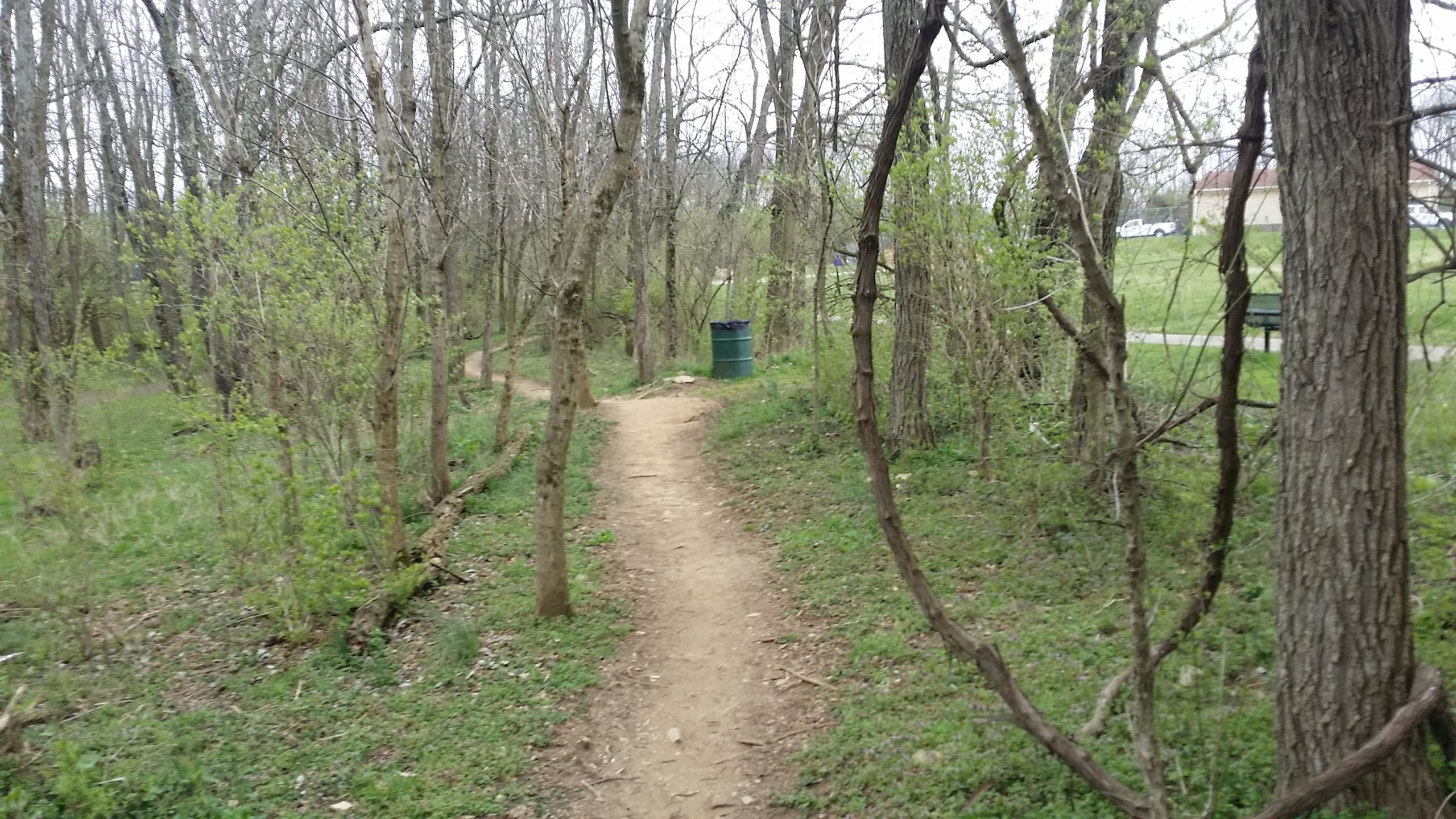 A narrow dirt path winding through a sparse forest with bare trees and some budding greenery. A trash can is visible along the path, with a grassy area and a bench in the background. The atmosphere is calm and natural, suggesting an outdoor recreational space. Veterans Park mountain bike trail.