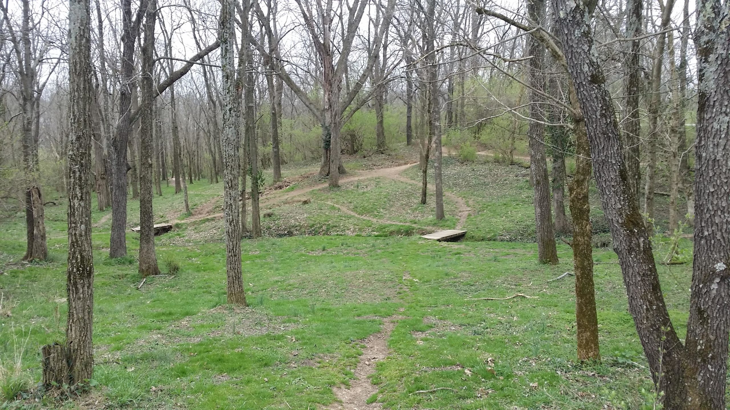 A tranquil forest scene featuring bare trees with budding leaves, a grassy area, and a winding dirt path that leads to a small wooden bridge over a creek. The landscape is serene, showcasing the beauty of nature in early spring. Veterans Park mountain bike trail.