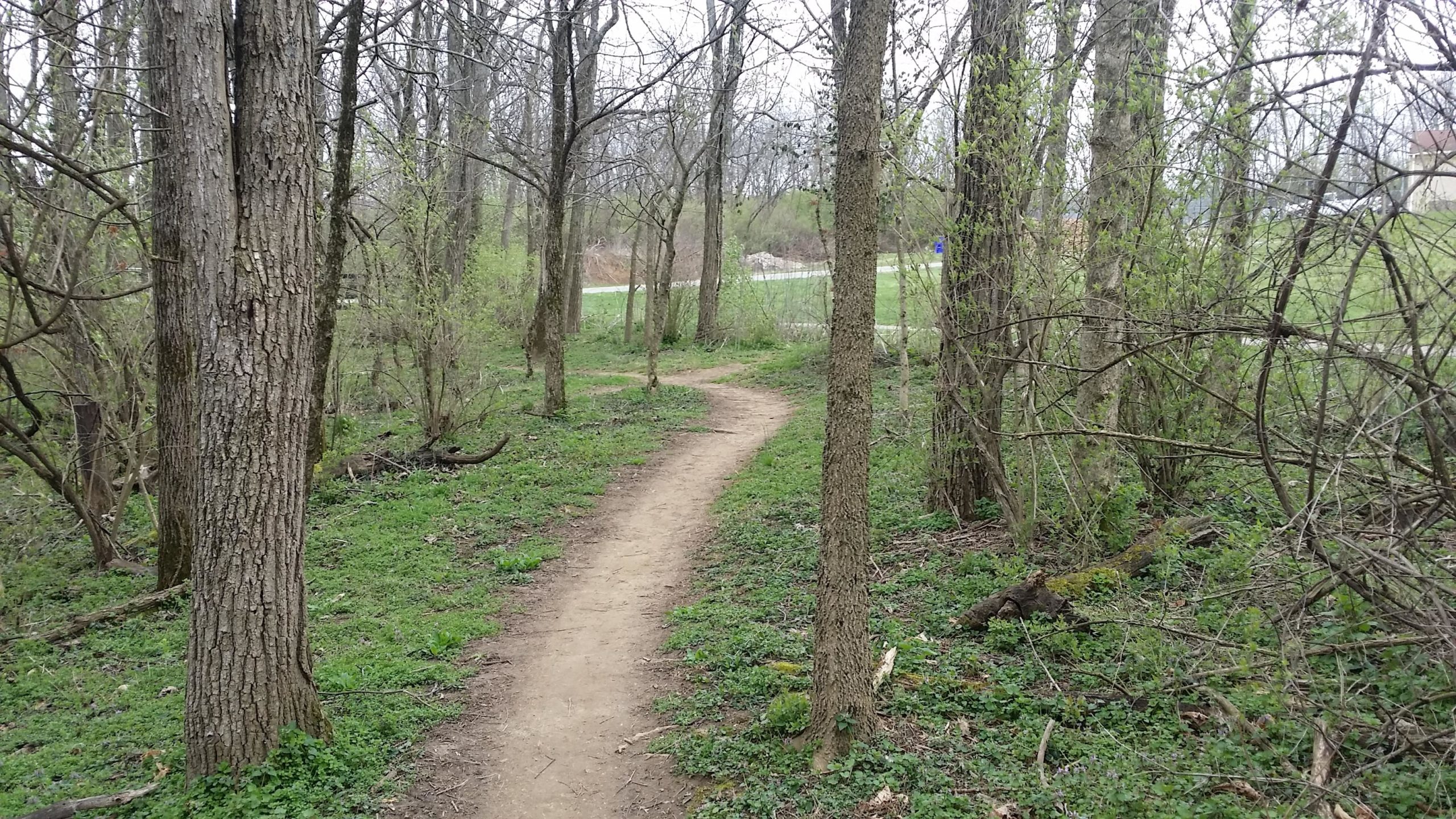A winding dirt path through a wooded area, surrounded by trees and greenery, with a hint of open space visible in the background. The scene captures a tranquil natural setting, ideal for walking or exploring. Veterans Park mountain bike trail.