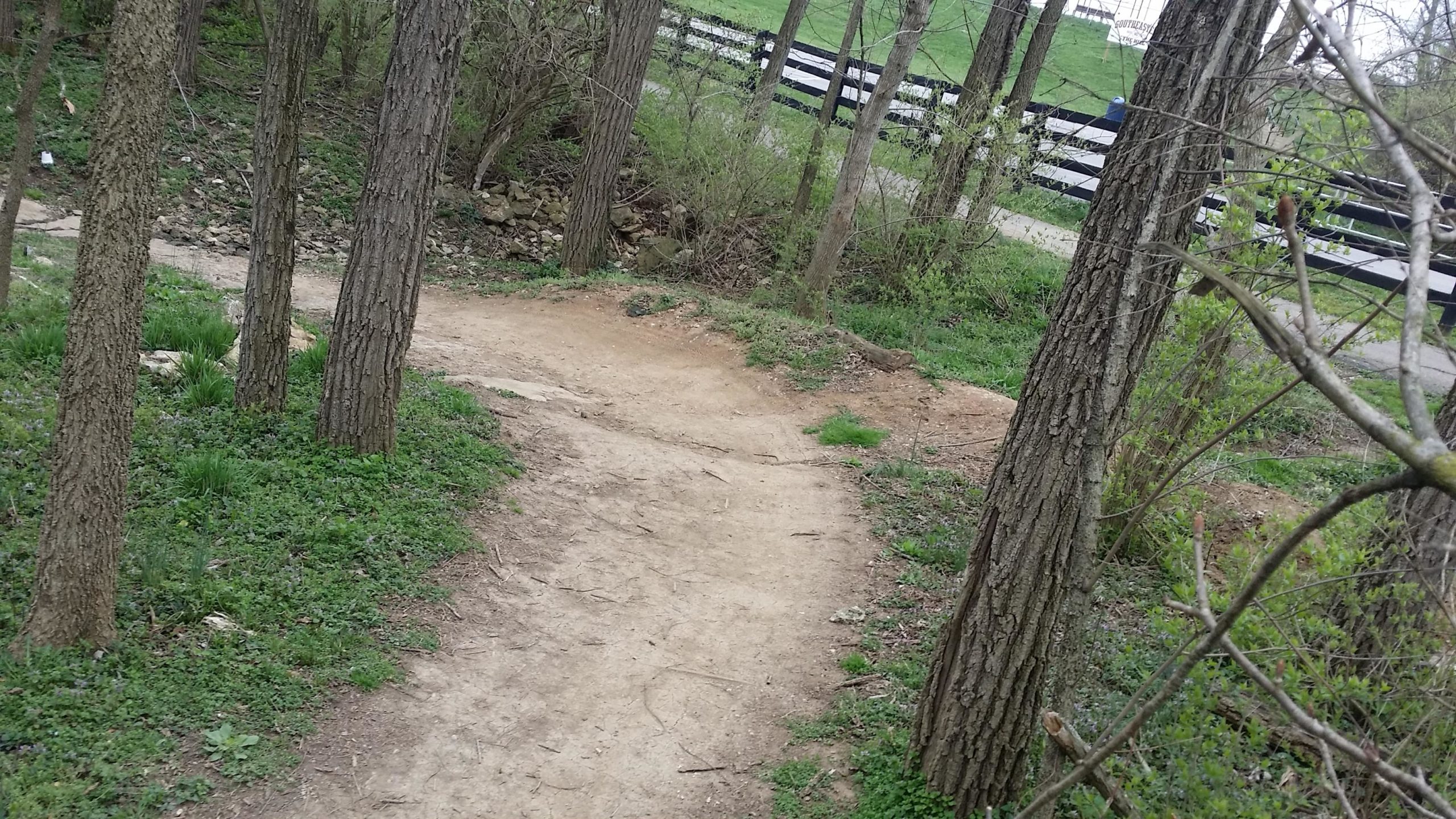 A dirt path winding through a wooded area, flanked by tall trees and green underbrush, with a black and white fence visible in the background along a road. Veterans Park mountain bike trail.