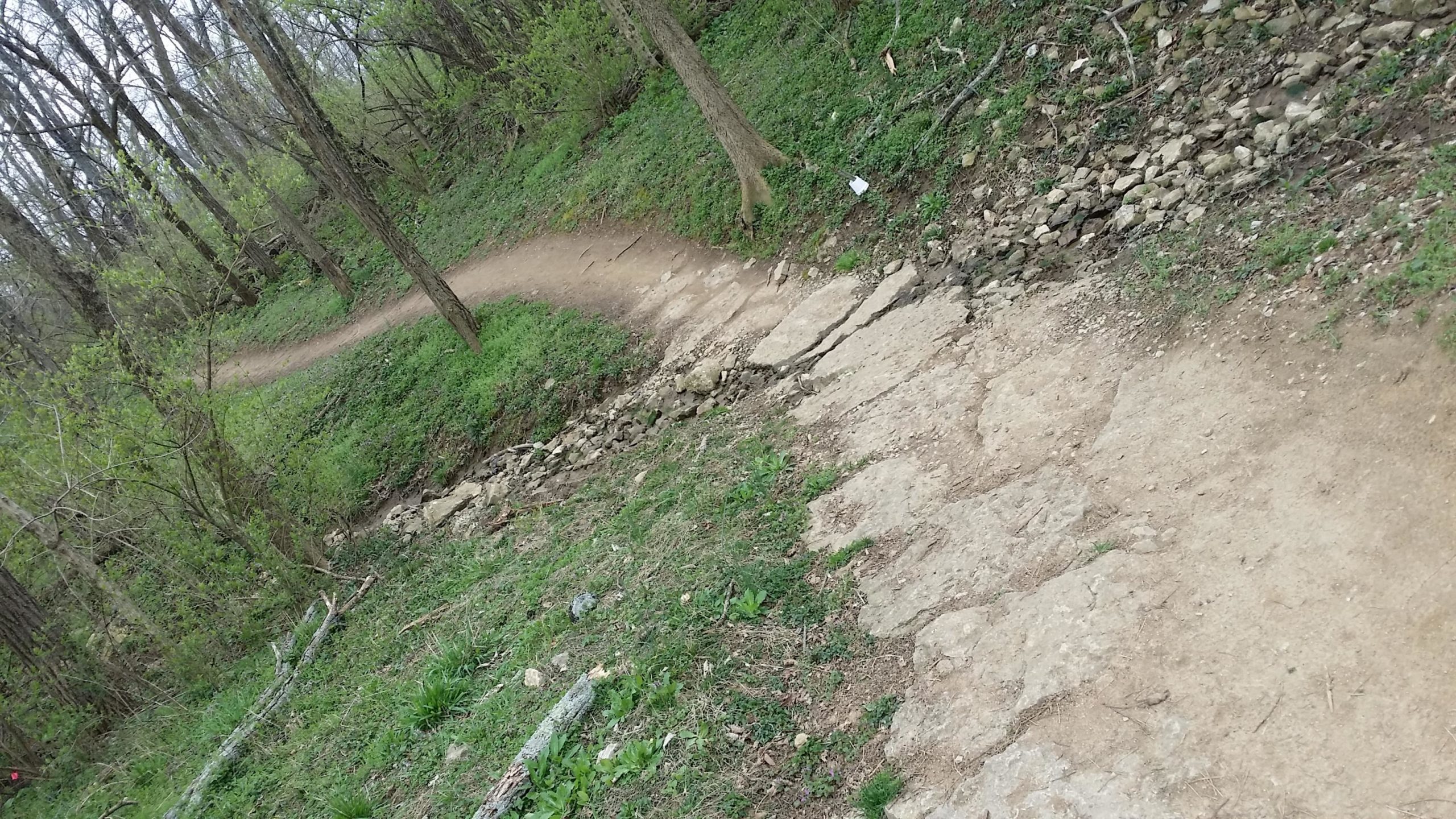 A winding dirt path through a forested area, surrounded by lush green vegetation and trees. The trail features some uneven rocky sections, leading downward alongside a small creek. Branches and fallen logs are scattered along the pathway, indicating a natural, untamed environment. Veterans Park mountain bike trail.