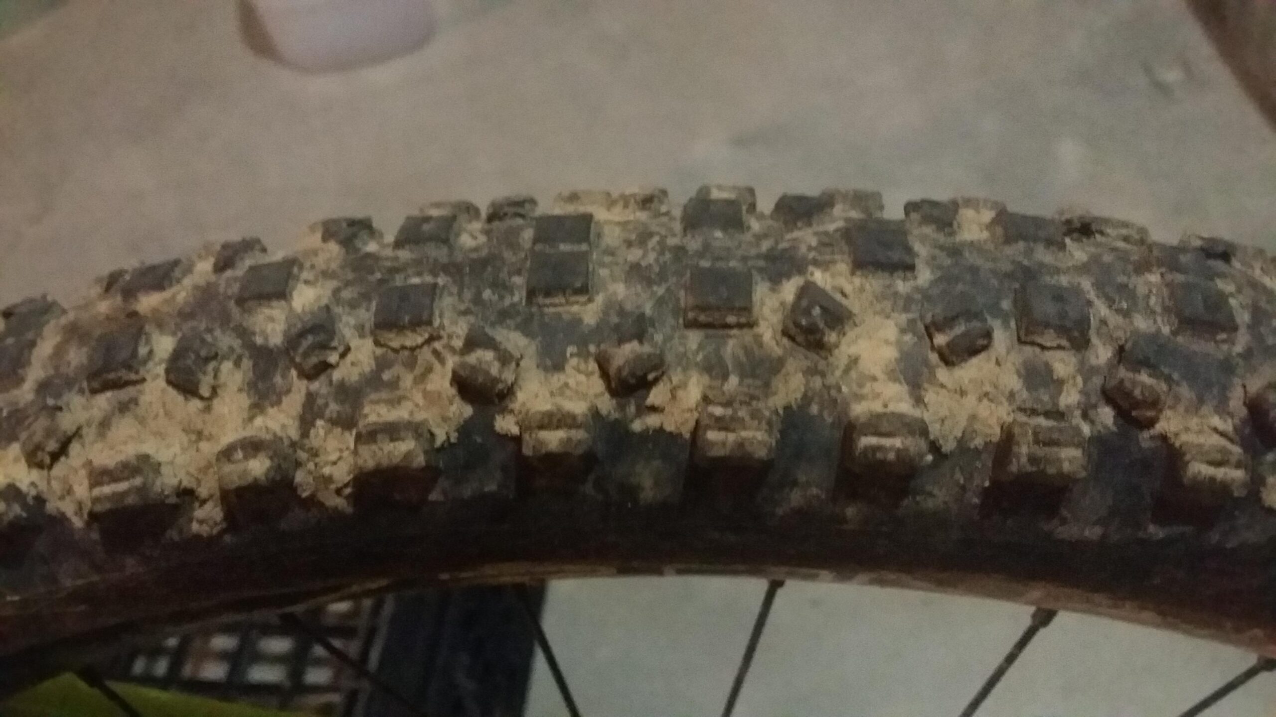 Schwalbe Hans Dampf: Close-up of a muddy bicycle tire with visible tread patterns and dirt, placed against a blurred background.