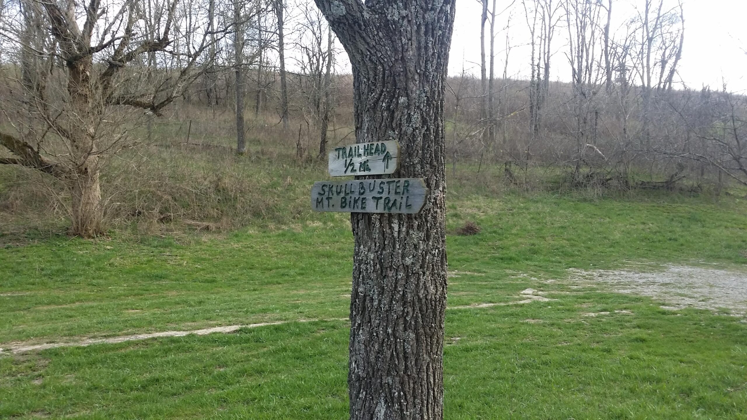 Signpost on a tree marking the trailhead for a mountain bike trail, indicating a distance of half a mile to the trail and directing to the "Skull Buster" mountain bike trail, surrounded by a grassy area and bare trees. Skullbuster mountain bike trail.