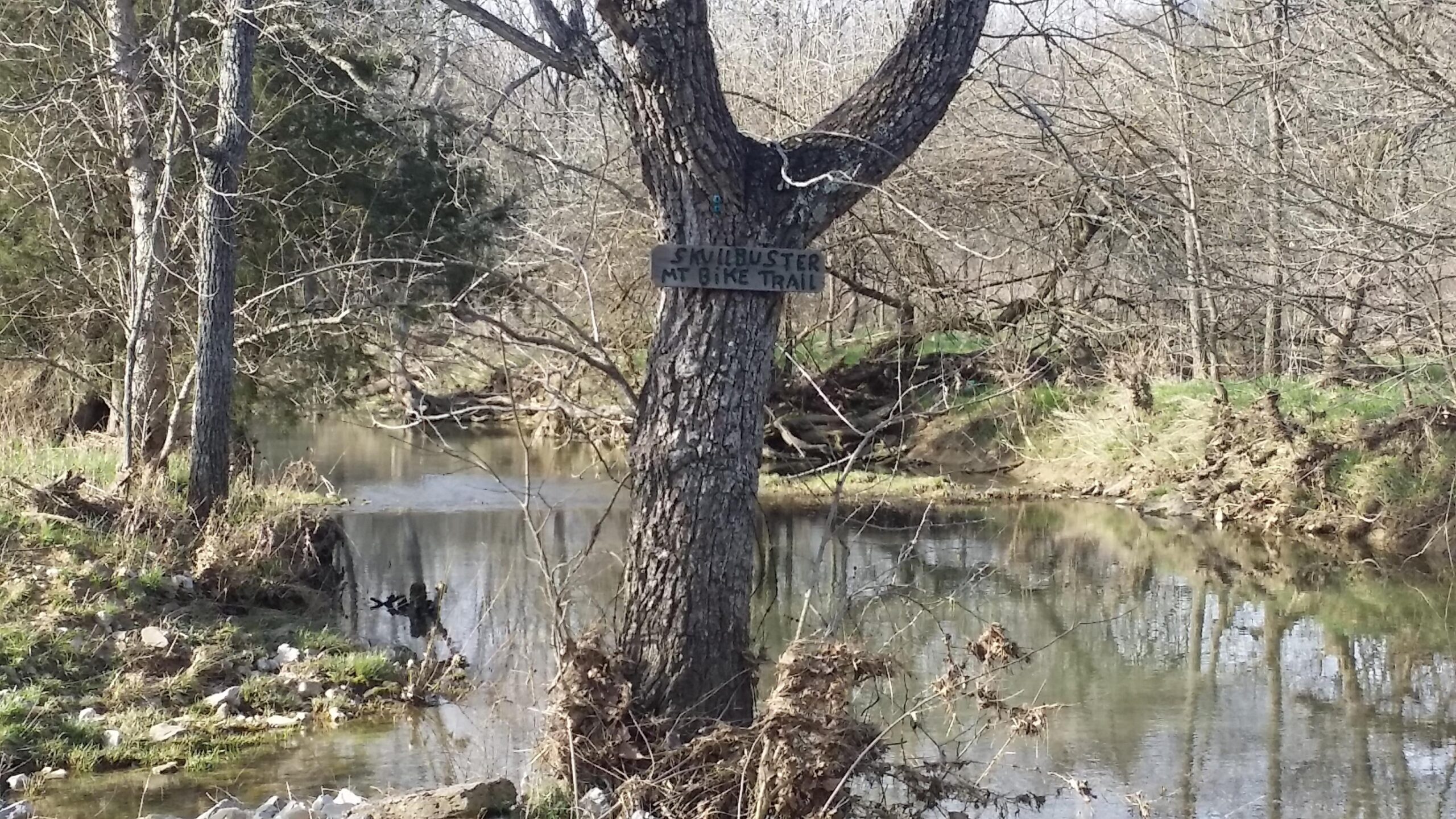 A tree with a wooden sign reading "Skullbuster MTB Bike Trail" stands beside a calm stream surrounded by bare trees and rocky banks. Skullbuster mountain bike trail.