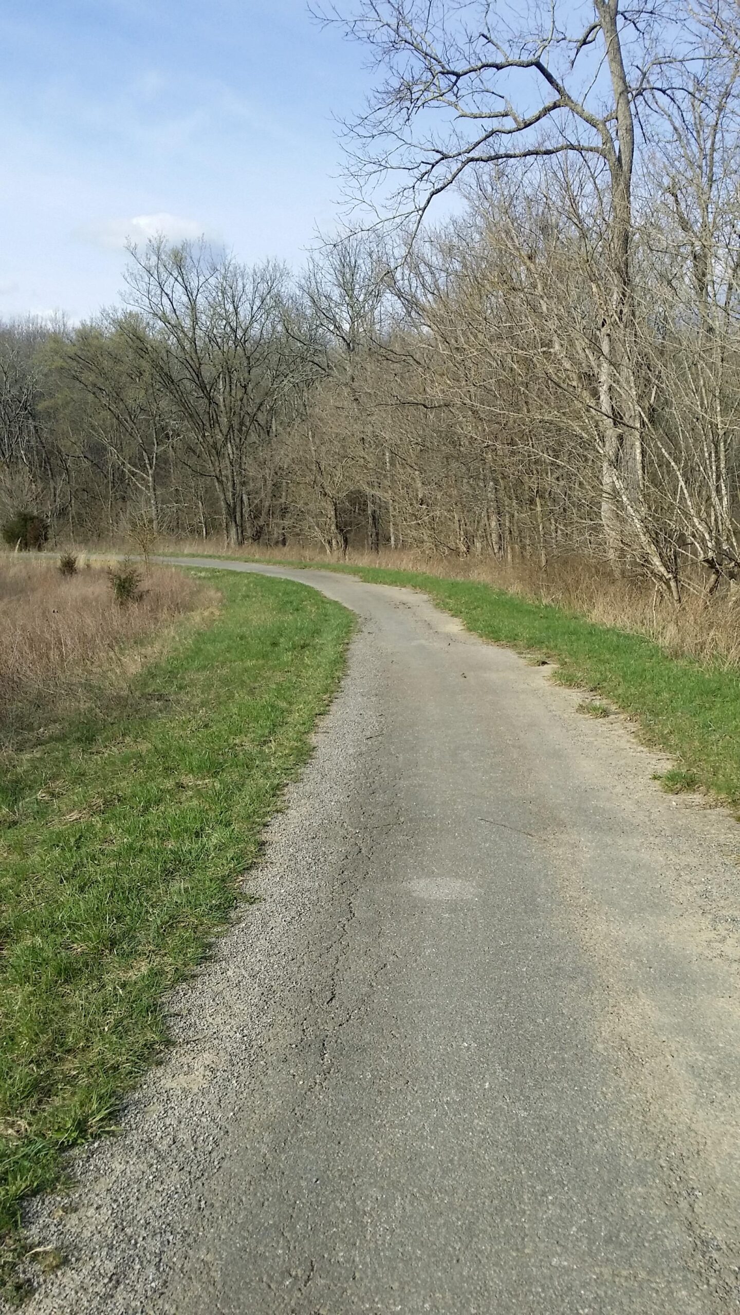 A winding pathway through a rural landscape, bordered by grass and bare trees, under a blue sky with scattered clouds. Skullbuster mountain bike trail.