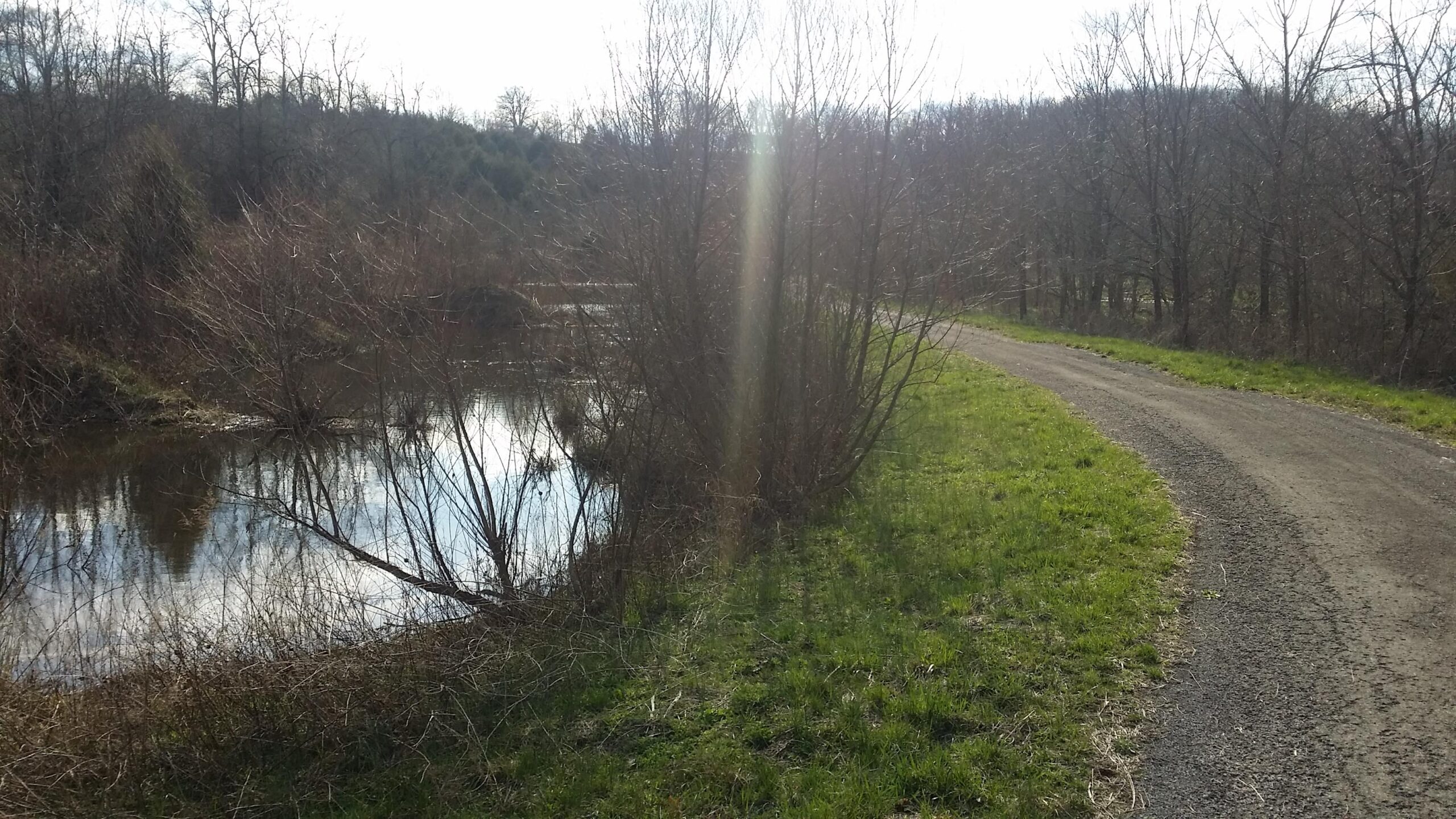 A peaceful outdoor scene featuring a gravel path winding alongside a small body of water. The landscape is surrounded by sparse trees, some of which are bare, indicating early spring or late winter. The sunlight filters through the branches, reflecting on the water's surface, and patches of green grass are visible along the path. Skullbuster mountain bike trail.