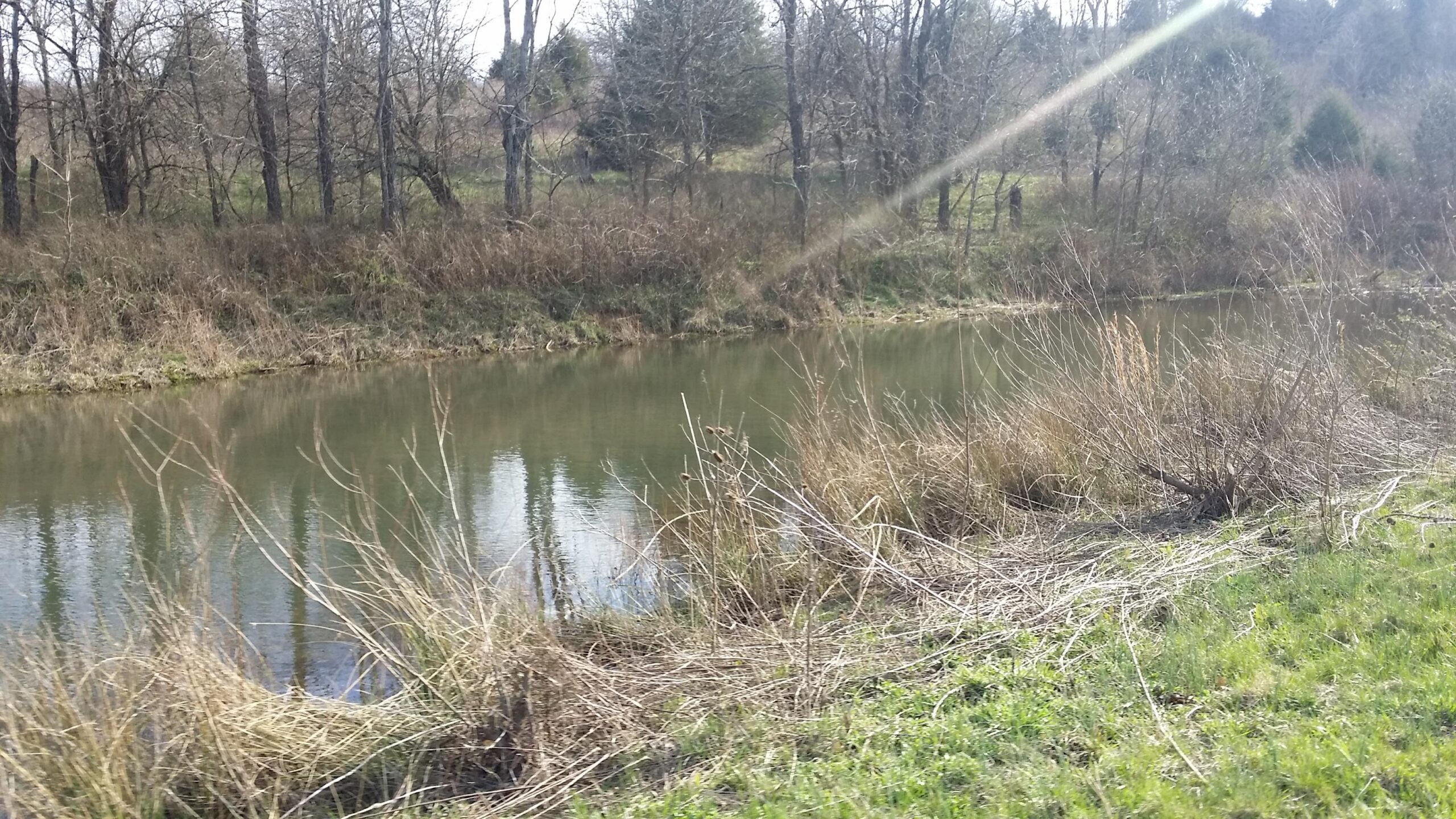 A tranquil riverside scene featuring a narrow, calm river bordered by dry grass and sparse trees. The reflection of the trees can be seen on the water's surface, and the surrounding area is lush with green grass, indicating the late winter or early spring season. The slightly overcast sky adds a serene atmosphere to the landscape. Skullbuster mountain bike trail.
