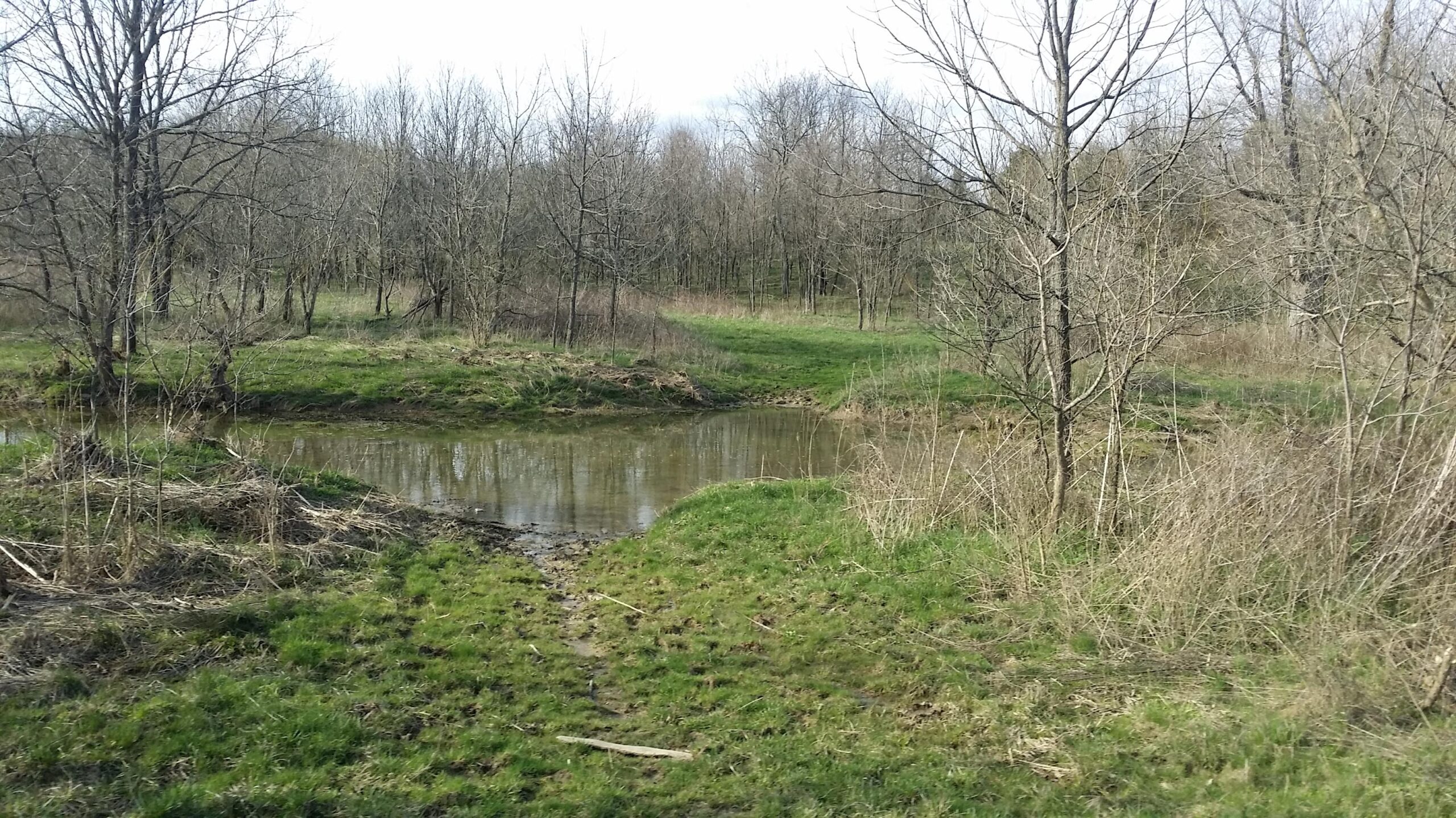 A serene landscape featuring a calm, shallow creek bordered by patches of grass and bare trees. The scene is set in early spring, with remnants of last season's foliage. The area is lush and green, suggesting new growth emerging from the ground. Skullbuster mountain bike trail.