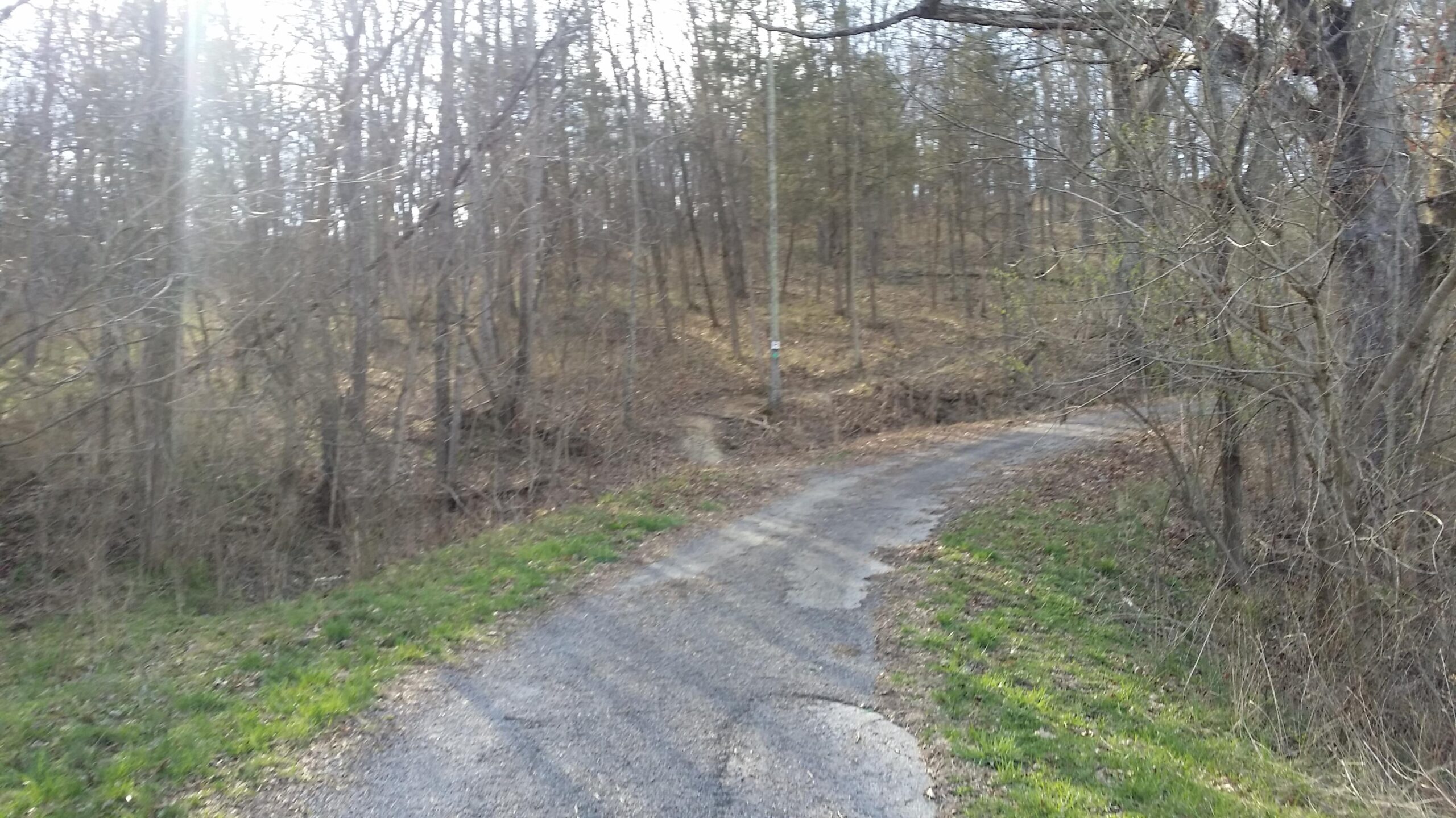 A winding gravel path leads through a forested area with bare trees and sparse underbrush. Sunlight filters through the branches, illuminating patches of green grass along the edges of the path. The scene captures a serene natural setting, suggesting a peaceful outdoor environment. Skullbuster mountain bike trail.