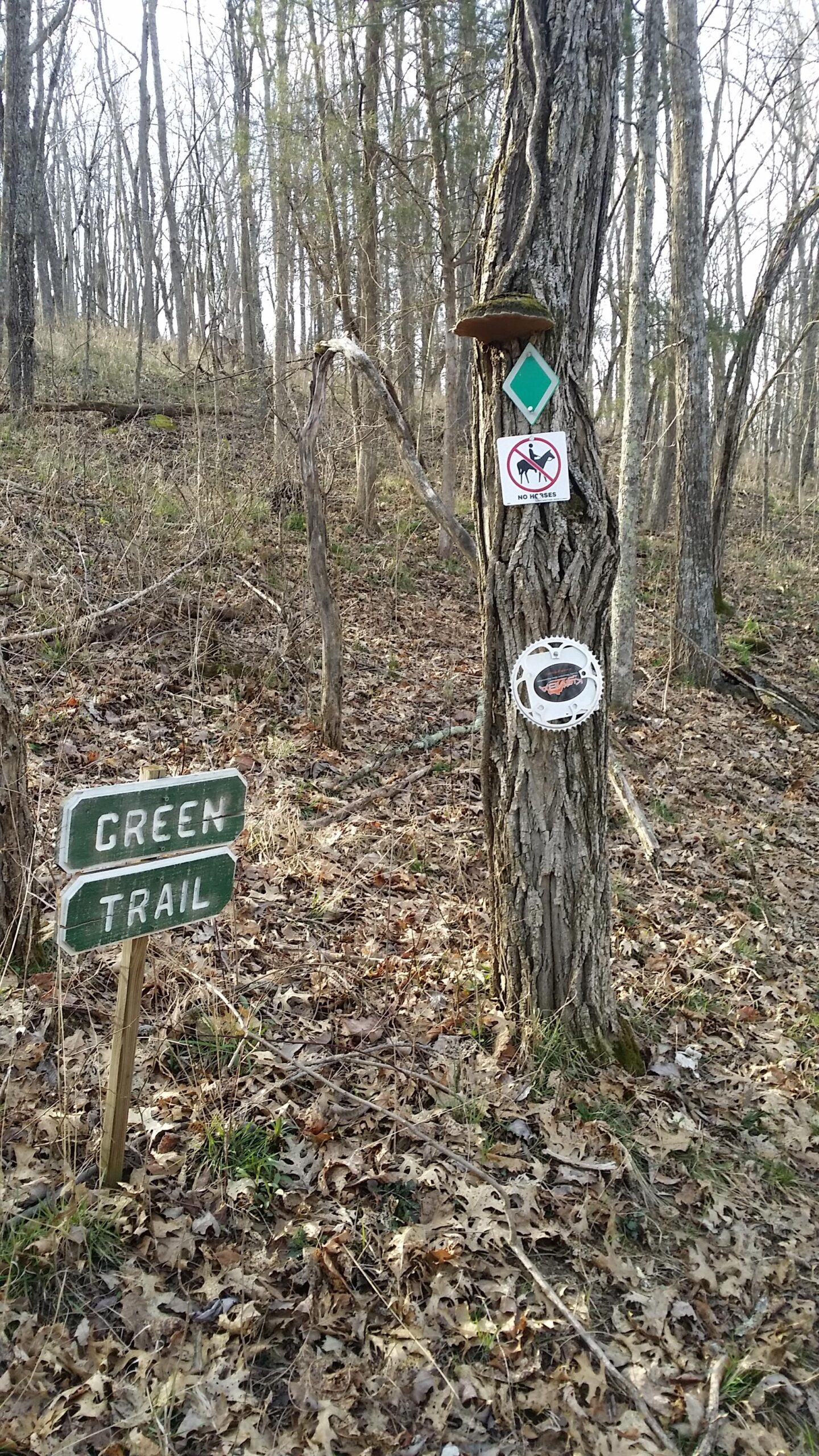 A trail marker indicating the Green Trail, situated near a tree in a wooded area. The marker is accompanied by a sign warning against horseback riding, and another circular sign attached to the tree. The ground is covered with dry leaves, and the surrounding trees are bare, indicating early spring or late fall. Skullbuster mountain bike trail.