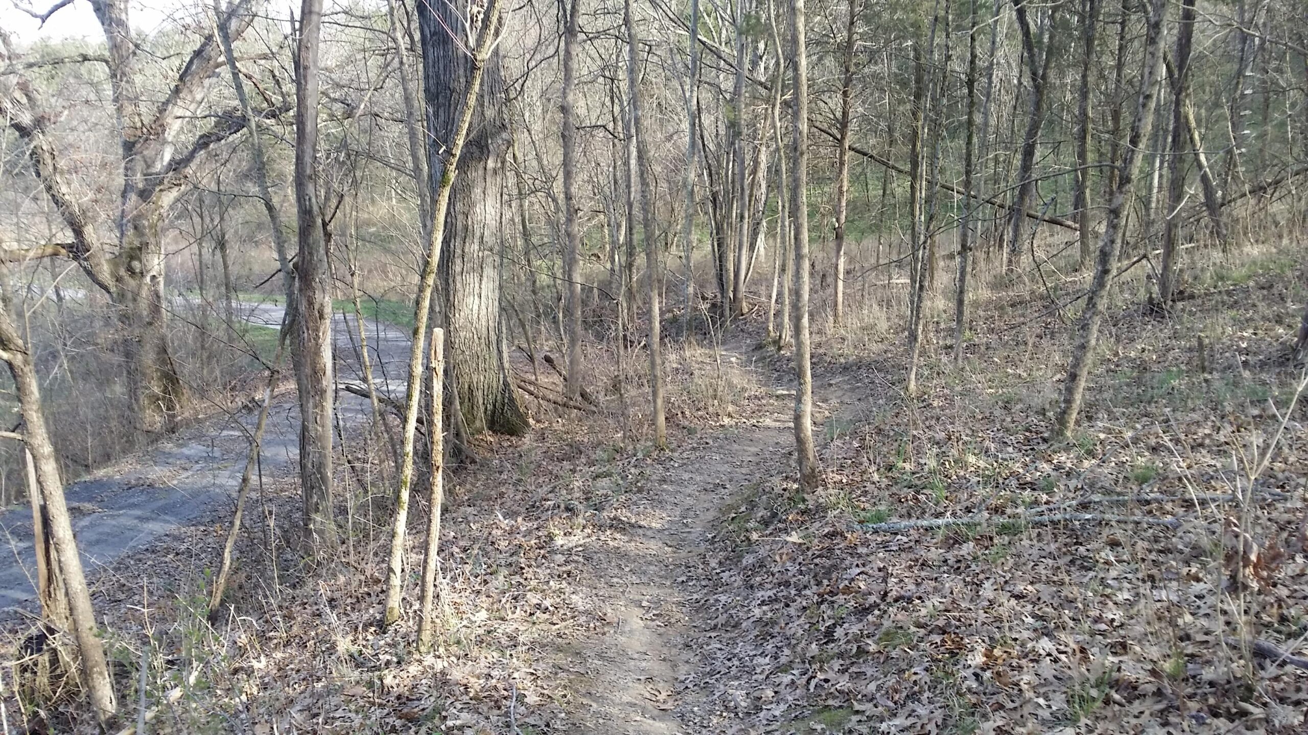 A narrow dirt path winding through a wooded area with bare trees and fallen leaves, alongside a gravel road in the background. The scene is illuminated by soft natural light, suggesting an early spring atmosphere. Skullbuster mountain bike trail.