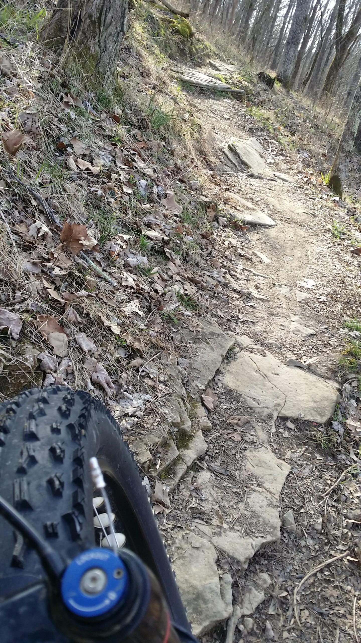 A close-up view of a mountain bike tire next to a narrow dirt trail, surrounded by forest foliage and scattered leaves. The trail is rocky and winds through trees, suggesting an outdoor adventure setting. Skullbuster mountain bike trail.