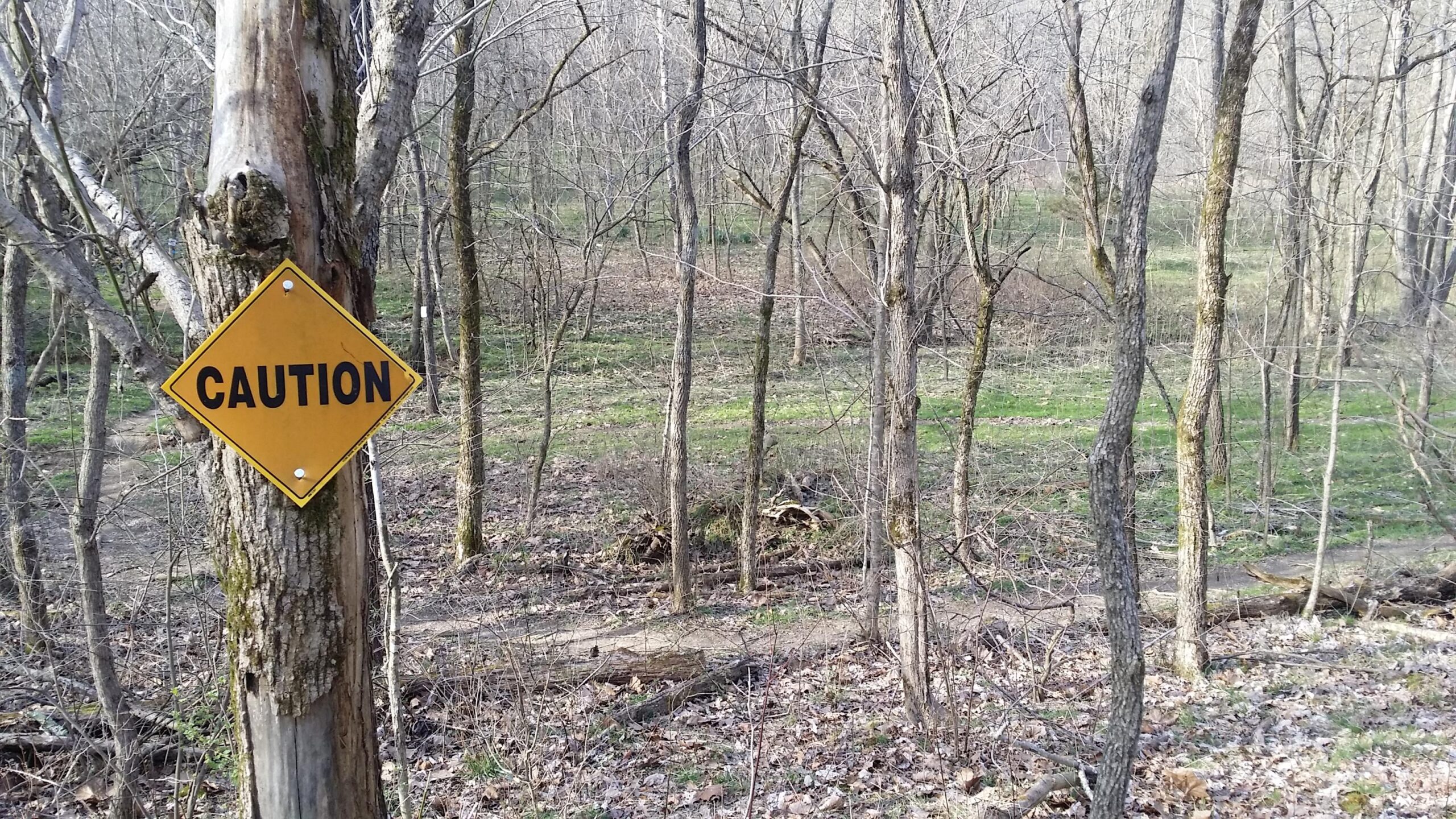A caution sign attached to a tree in a wooded area, with leafless trees and green undergrowth visible in the background. The ground is covered with fallen leaves and branches. Skullbuster mountain bike trail.