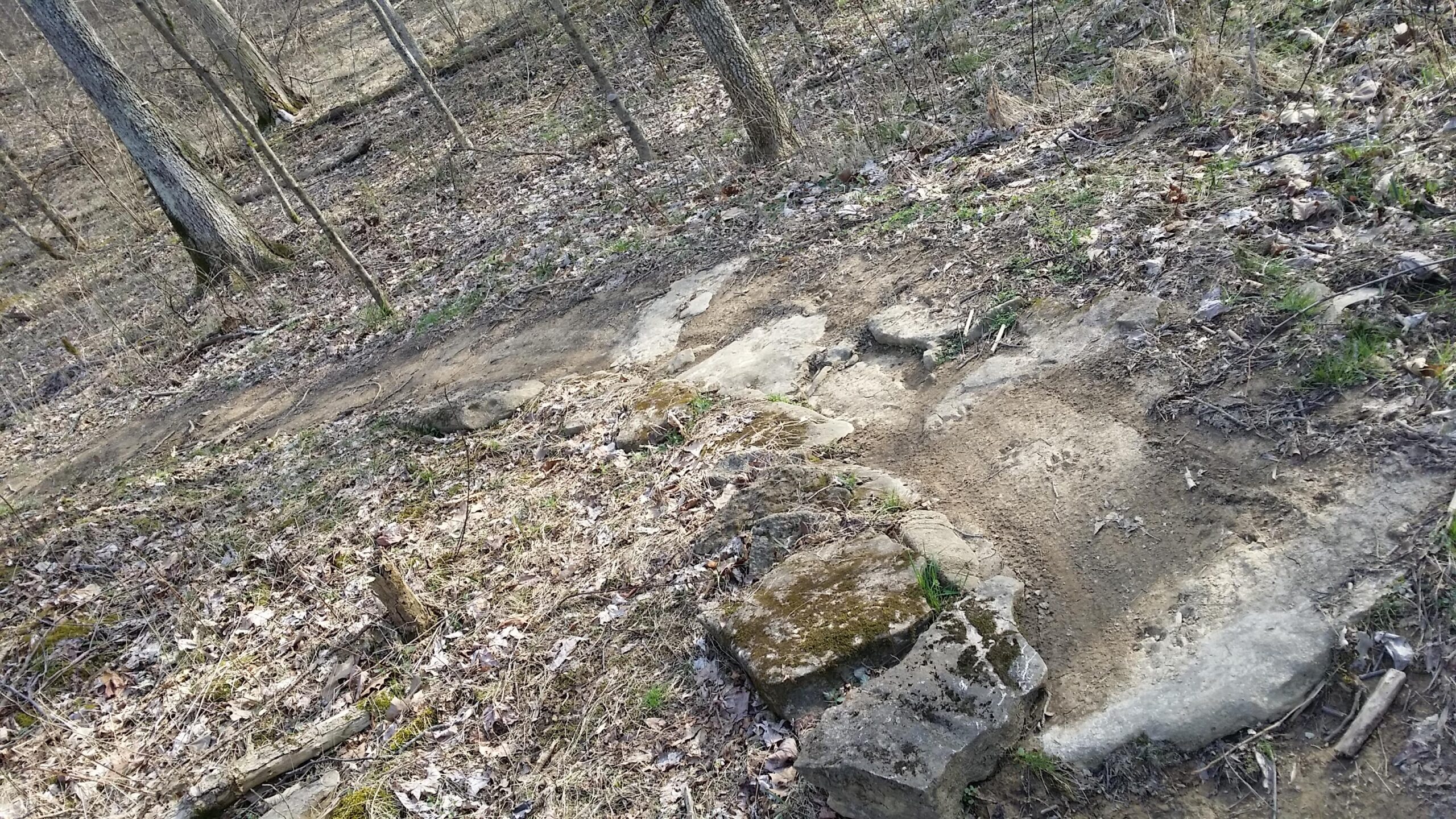 A rocky hiking path meanders through a wooded area, surrounded by trees and patches of grass. The trail features exposed stones, showcasing a mix of dirt and moss. Fallen leaves and twigs are scattered along the ground, indicating a natural forest setting. Skullbuster mountain bike trail.