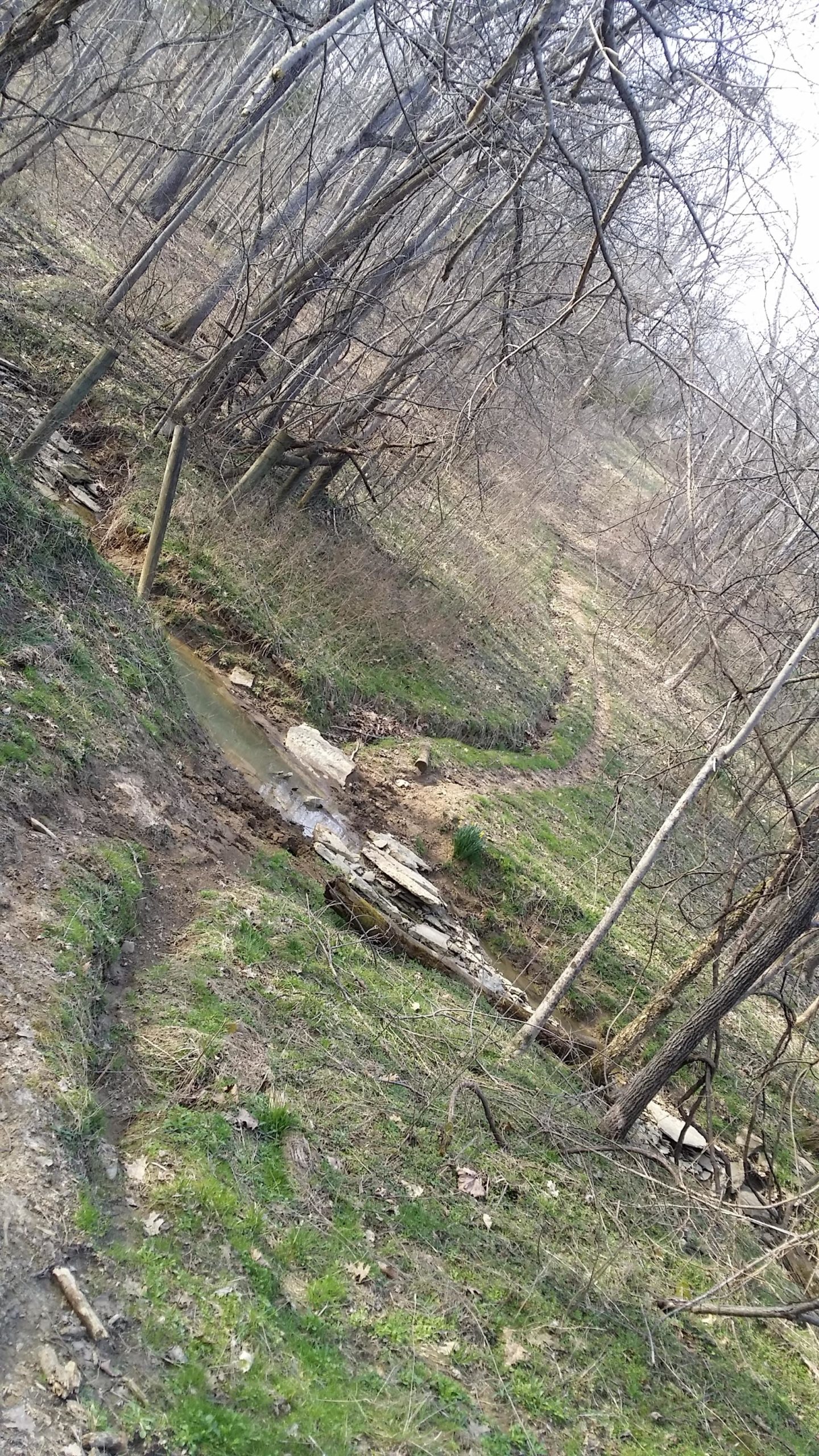 A winding dirt path through a wooded area with sparse trees and underbrush, alongside a shallow stream with rocky banks. The scene is set in early spring, showing bare branches and patches of green grass. Skullbuster mountain bike trail.