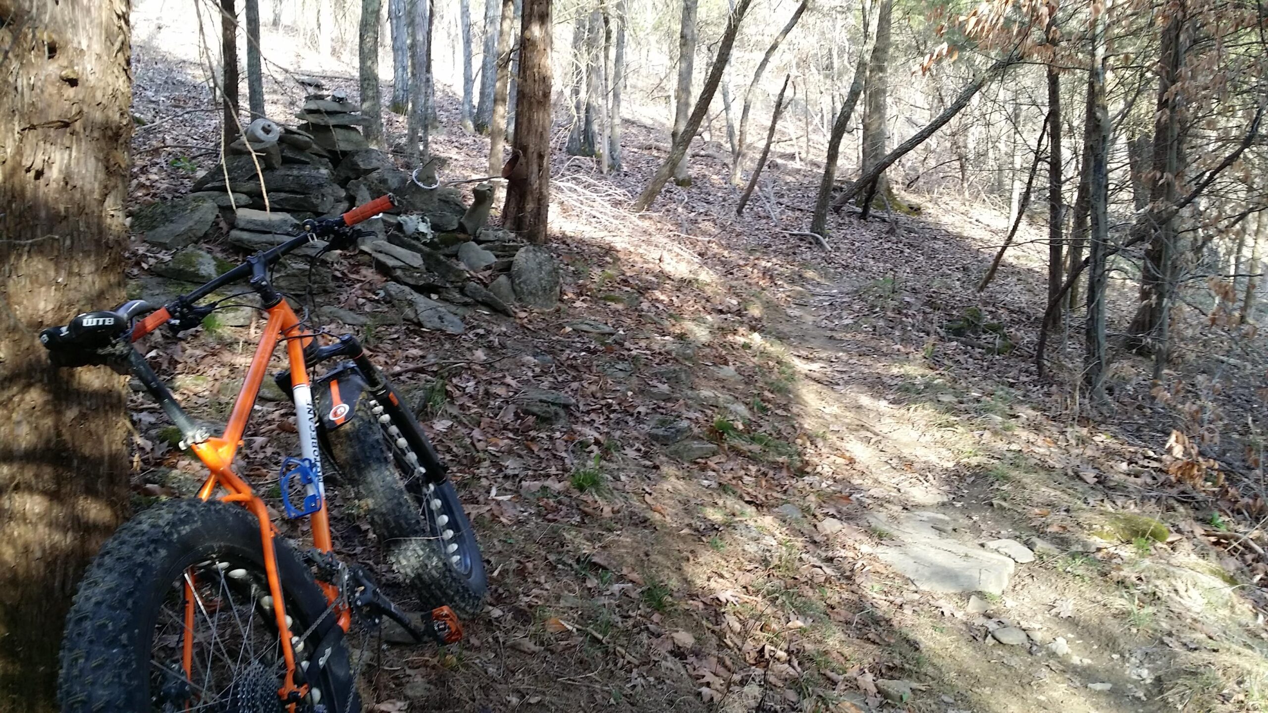 A fat tire bike leaning against a tree on a wooded trail, with a rocky outcrop visible in the background and fallen leaves covering the ground. Skullbuster mountain bike trail.