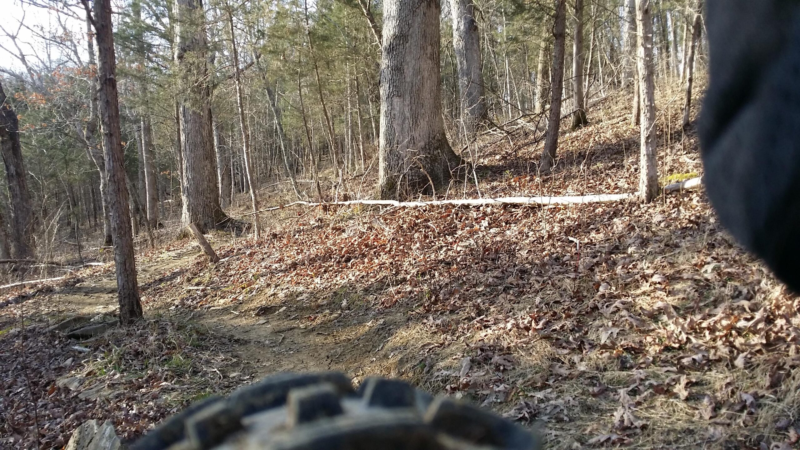 A dirt trail winding through a wooded area with tall trees and scattered autumn leaves on the ground. The view appears to be from a lower angle, possibly from a cyclist or hiker's perspective, with part of a tire visible in the foreground. Skullbuster mountain bike trail.