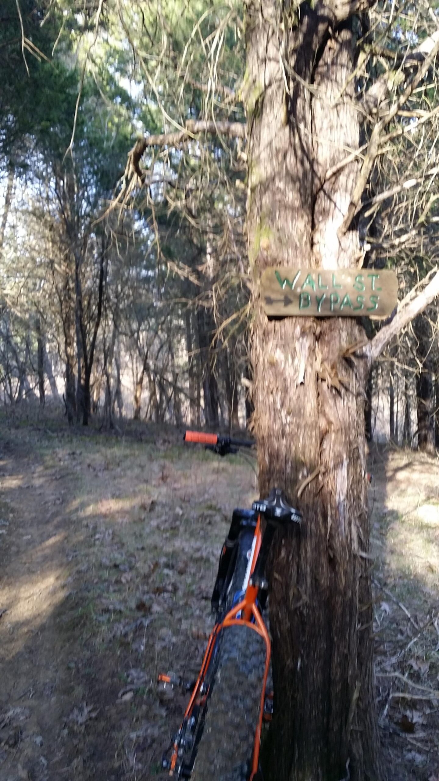 An off-road bicycle rests against a tree with a wooden sign that reads "Wall St Bypass." The background features a wooded trail with trees and natural vegetation. Skullbuster mountain bike trail.