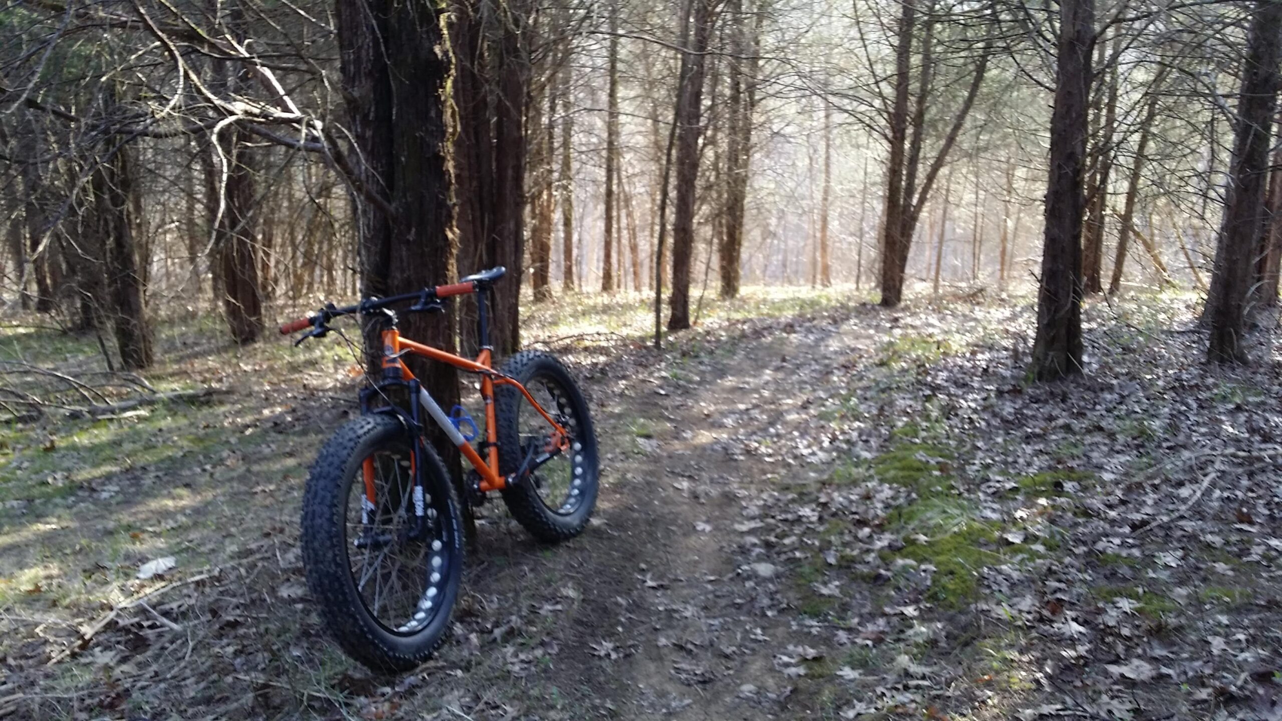 A fat tire bike parked on a dirt trail surrounded by trees in a wooded area. Sunlight filters through the branches, creating a serene atmosphere with fallen leaves scattered on the ground. Skullbuster mountain bike trail.