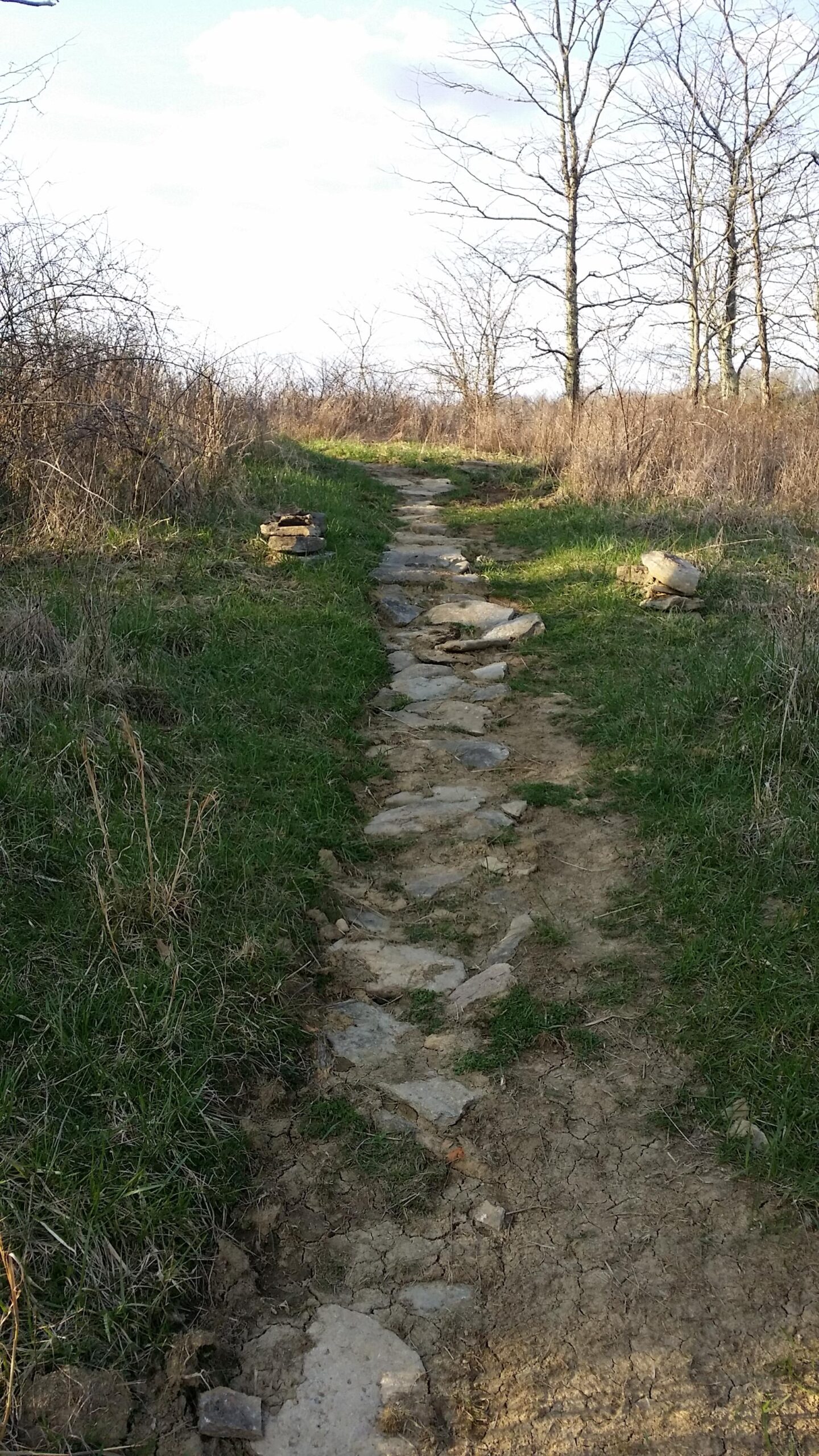 A narrow, winding dirt path lined with stones, surrounded by grassy areas and sparse trees in a natural setting. The sky is partly cloudy, creating a serene atmosphere. Skullbuster mountain bike trail.
