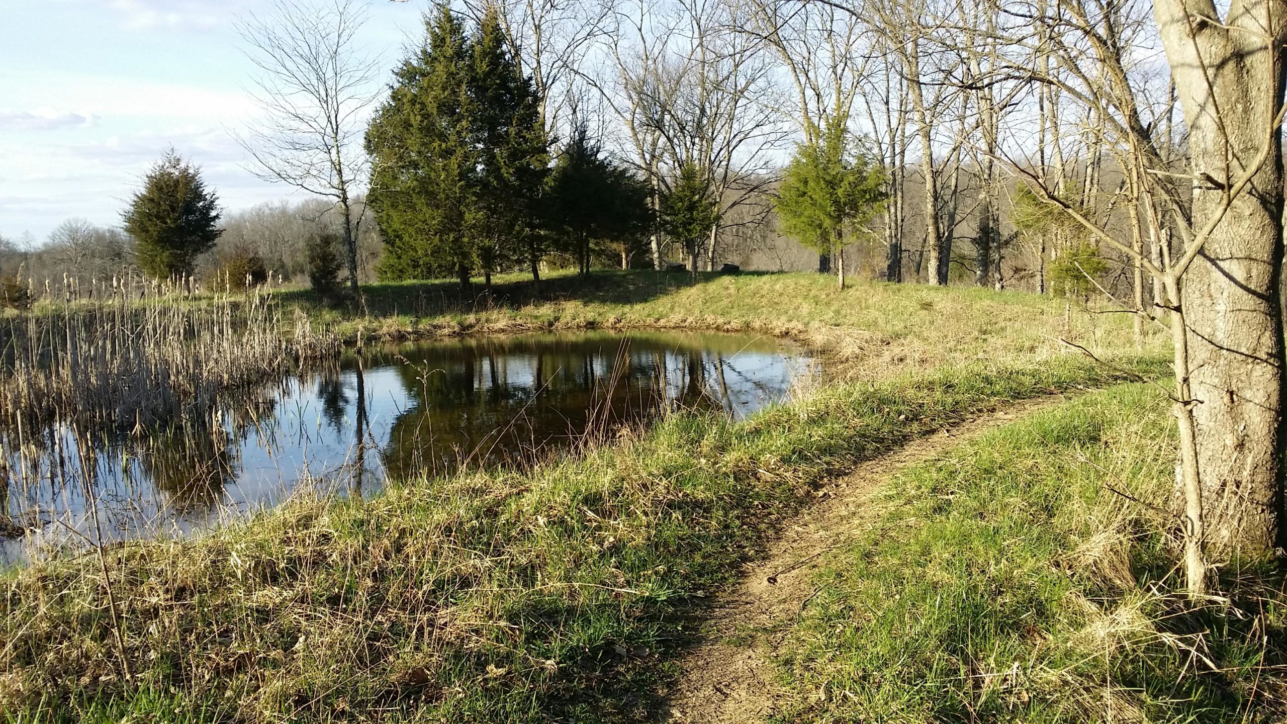 A serene landscape featuring a small pond surrounded by grassy shoreline and trees. A winding dirt path leads along the pond's edge, with tall grasses and reeds visible near the water's surface. The scene is set under a clear sky, hinting at a peaceful natural environment. Skullbuster mountain bike trail.