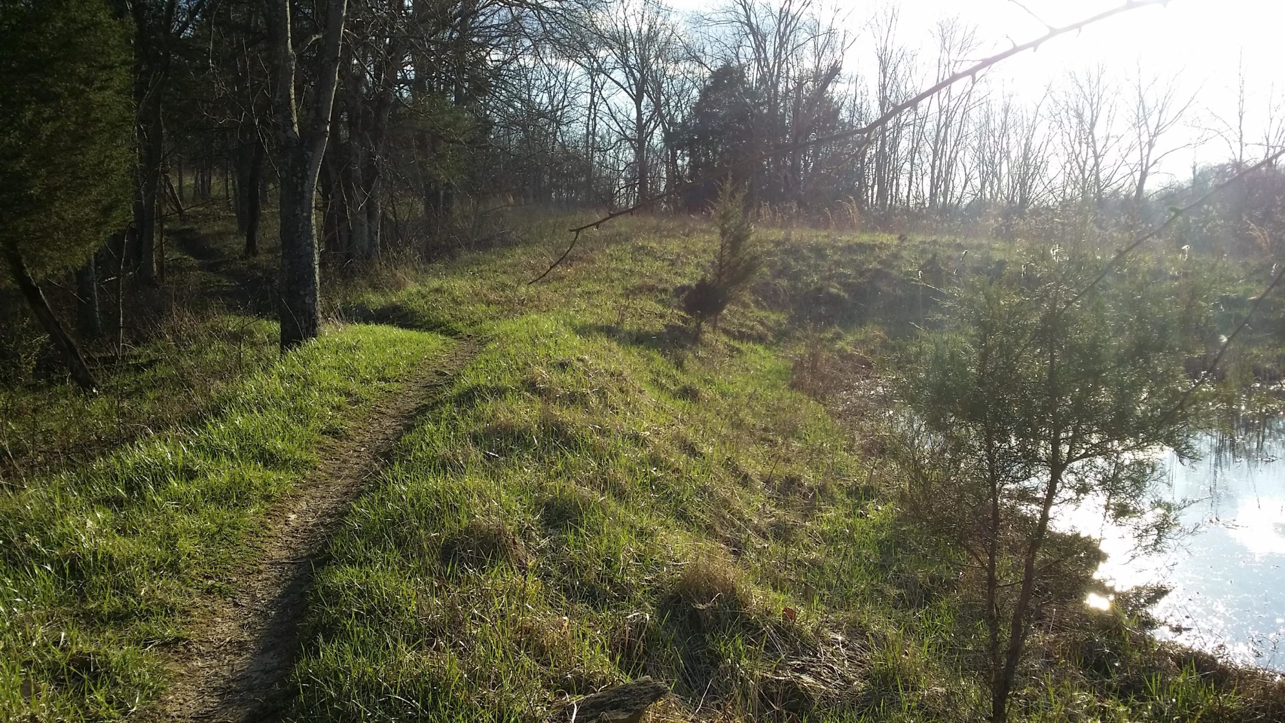 A grassy path winding through a wooded area, bordered by trees and a small pond reflecting sunlight. The scene captures a tranquil outdoor setting with warm lighting. Skullbuster mountain bike trail.