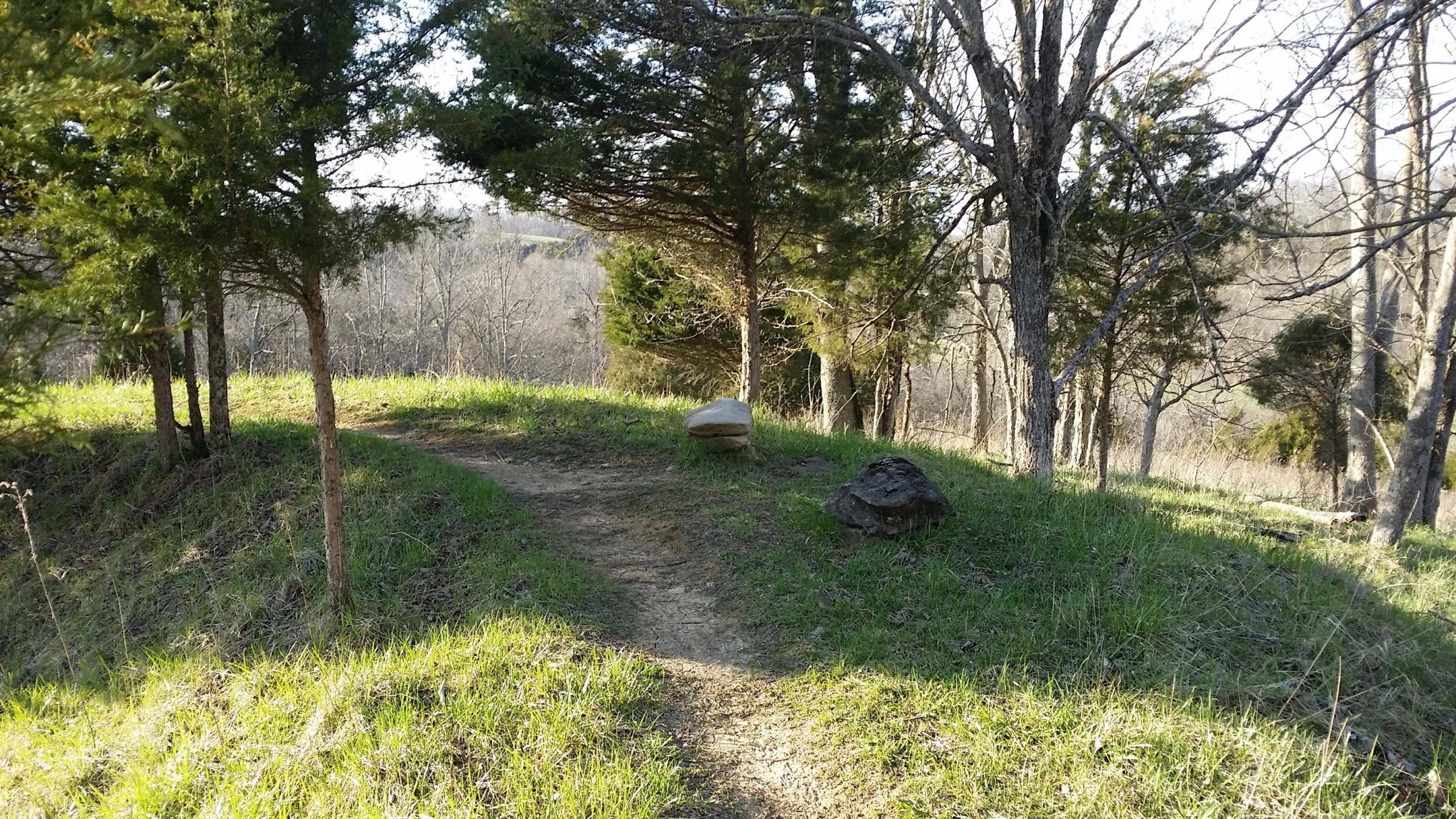 A winding dirt path through a grassy area, flanked by small trees. Two rocks are visible beside the trail, with a backdrop of hills and a clear sky. Skullbuster mountain bike trail.