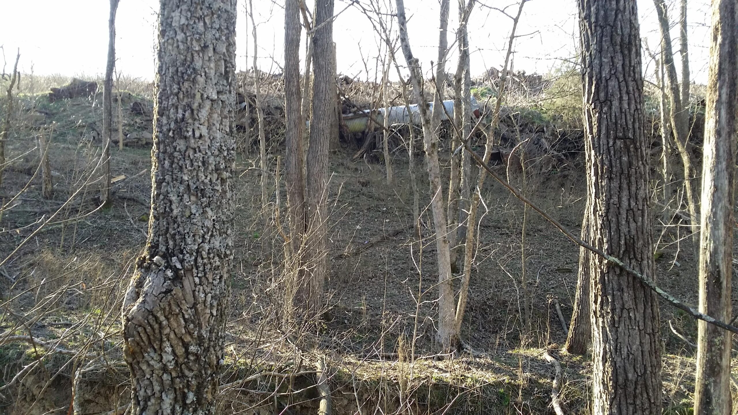 A wooded area with sparse vegetation and several trees in the foreground, revealing a partially obscured metallic object or structure in the background, surrounded by mounds of soil and debris. The scene is illuminated by soft natural light, suggesting an early morning or late afternoon setting. Skullbuster mountain bike trail.