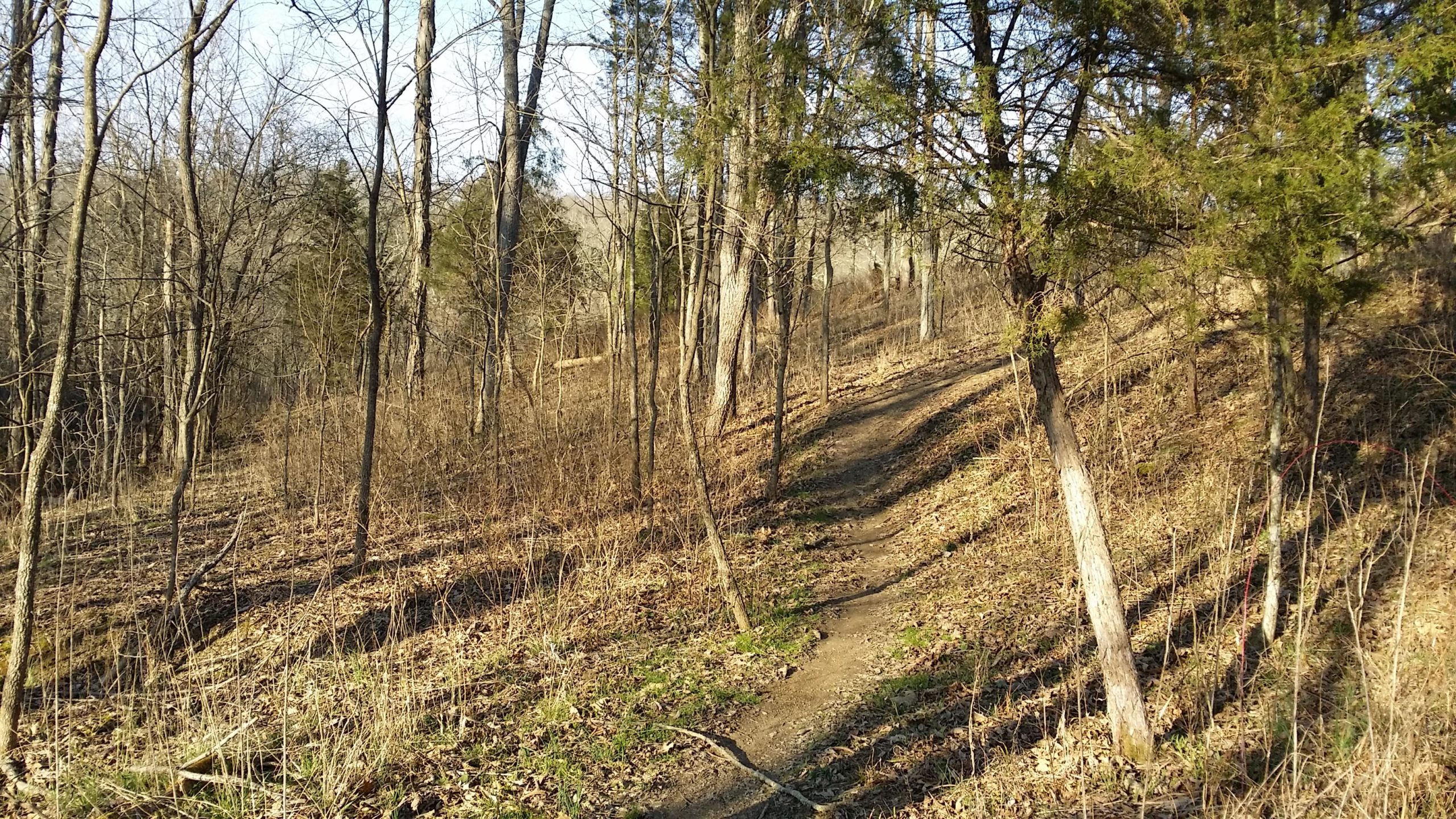A winding dirt path through a densely wooded area, surrounded by bare trees and underbrush. Sunlight filters through the branches, casting shadows on the ground. The landscape indicates early spring or late winter, with some green grass peeking through the brown leaves. Skullbuster mountain bike trail.